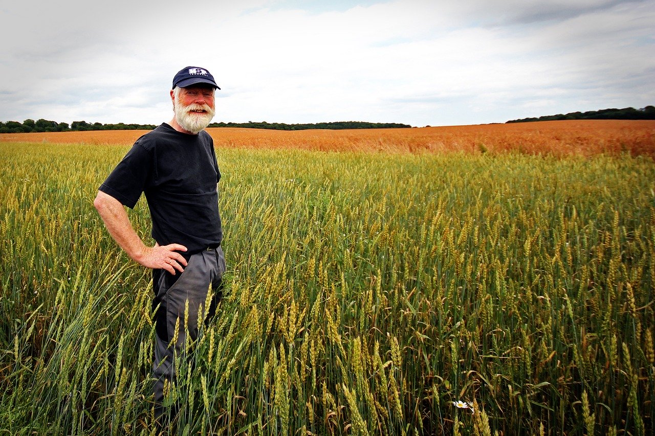John used to like to walk through the wheat fields too. It fed him with life. John used to like to walk through the wheat fields too. It fed him with life.
