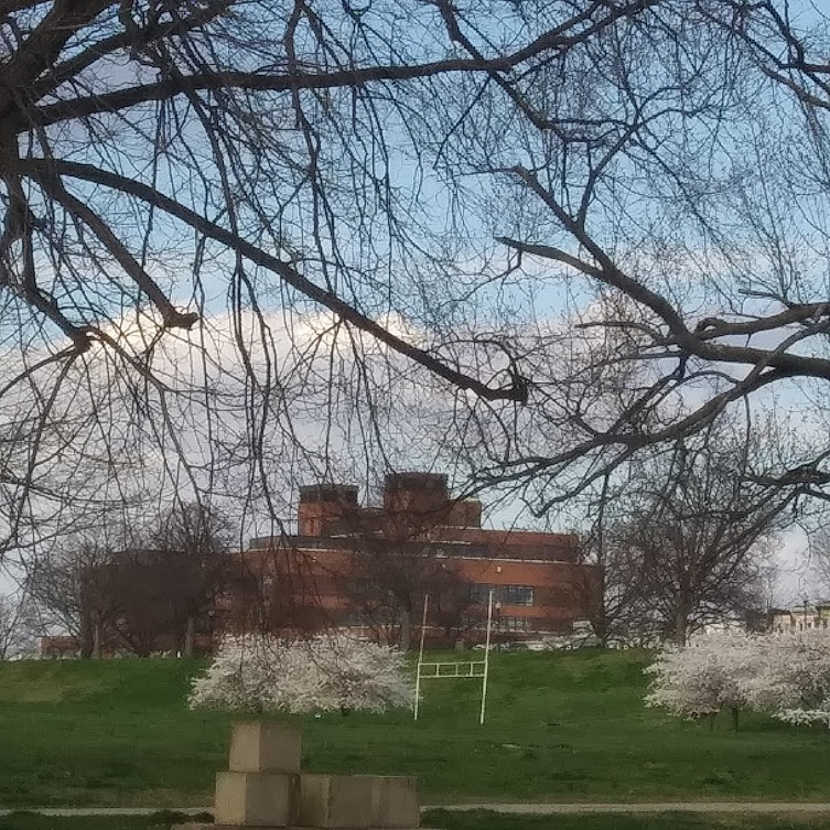 Photo Credit: I snapped this picture earlier this evening while sitting on my front steps. Photo Credit: I snapped this picture earlier this evening while sitting on my front steps.