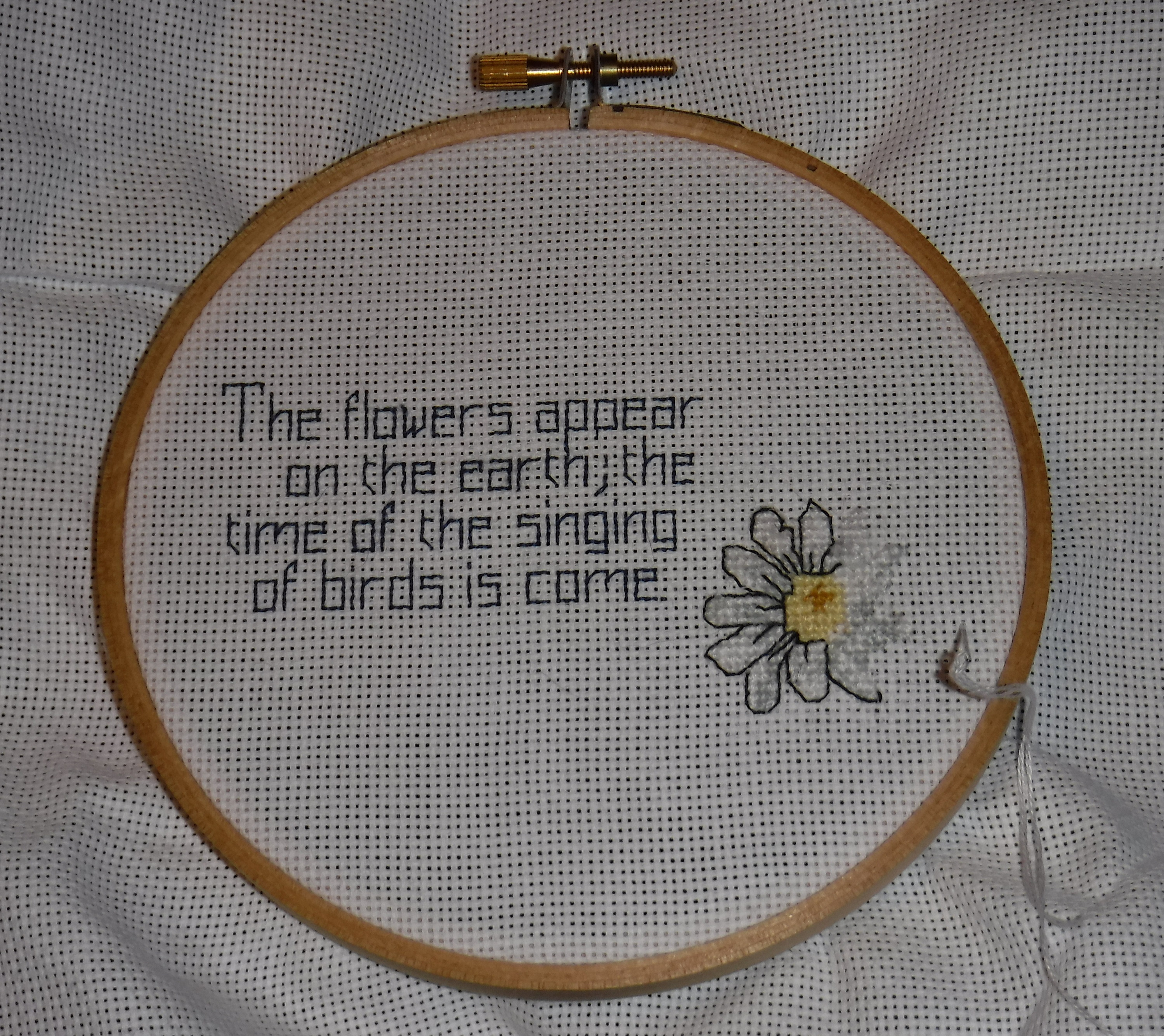 Photo taken by me of the cross stitch I&#039;m working on.