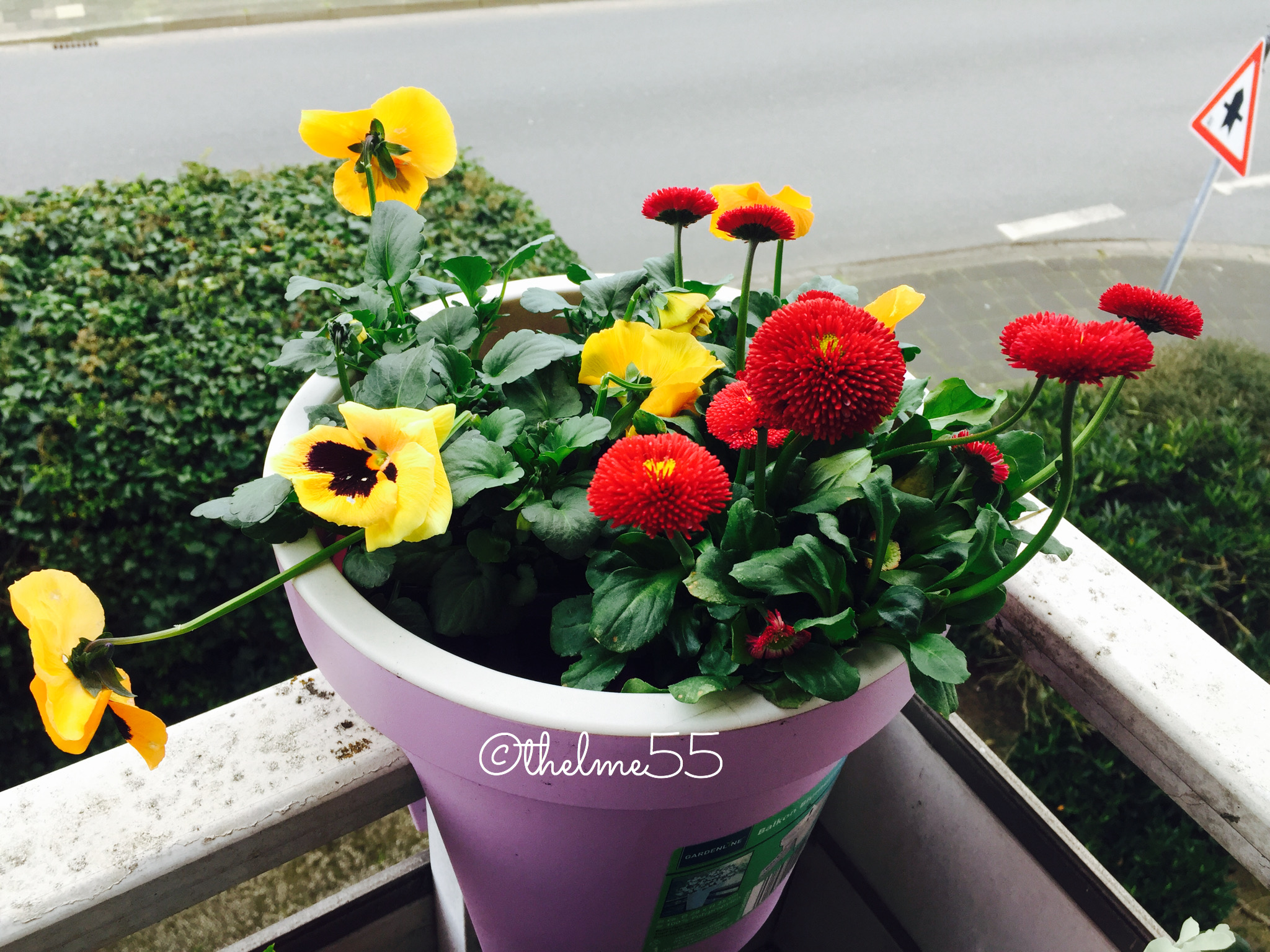 Balcony planter Balcony planter