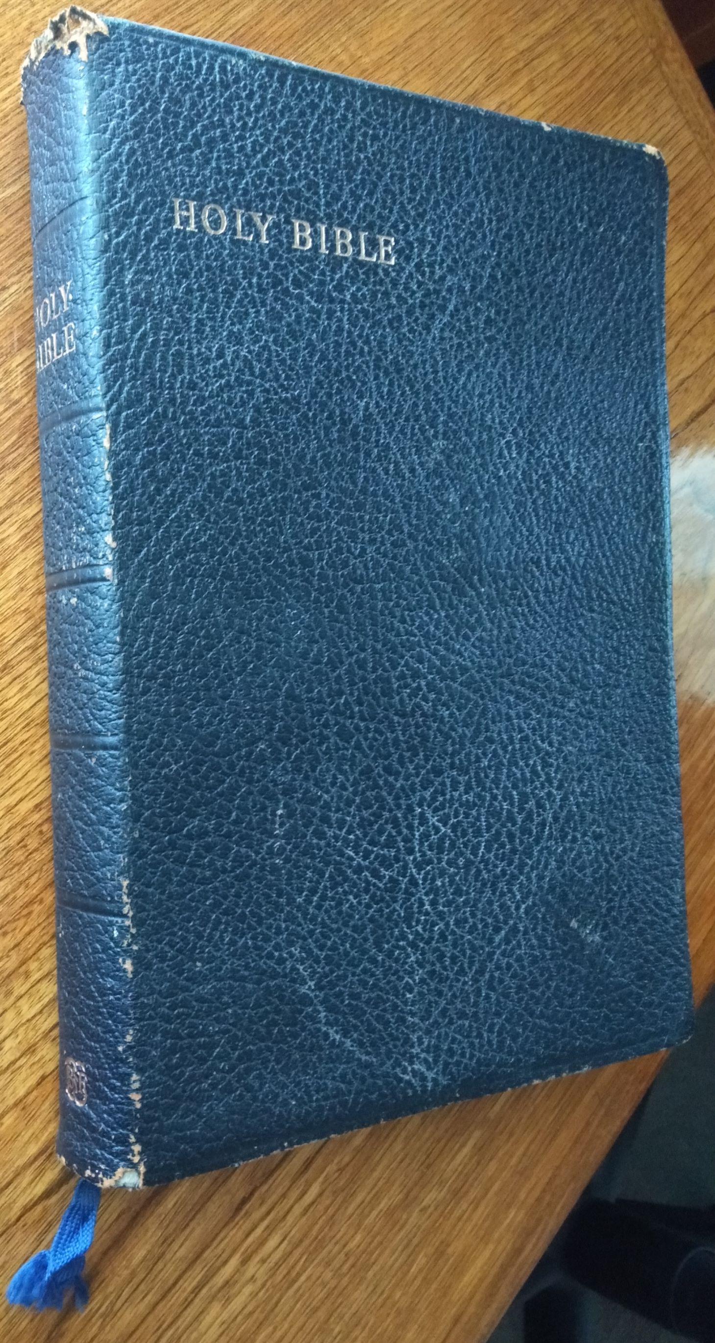 A lot of this book (the Bible) was written about the history of the Jewish people. A lot of this book (the Bible) was written about the history of the Jewish people.