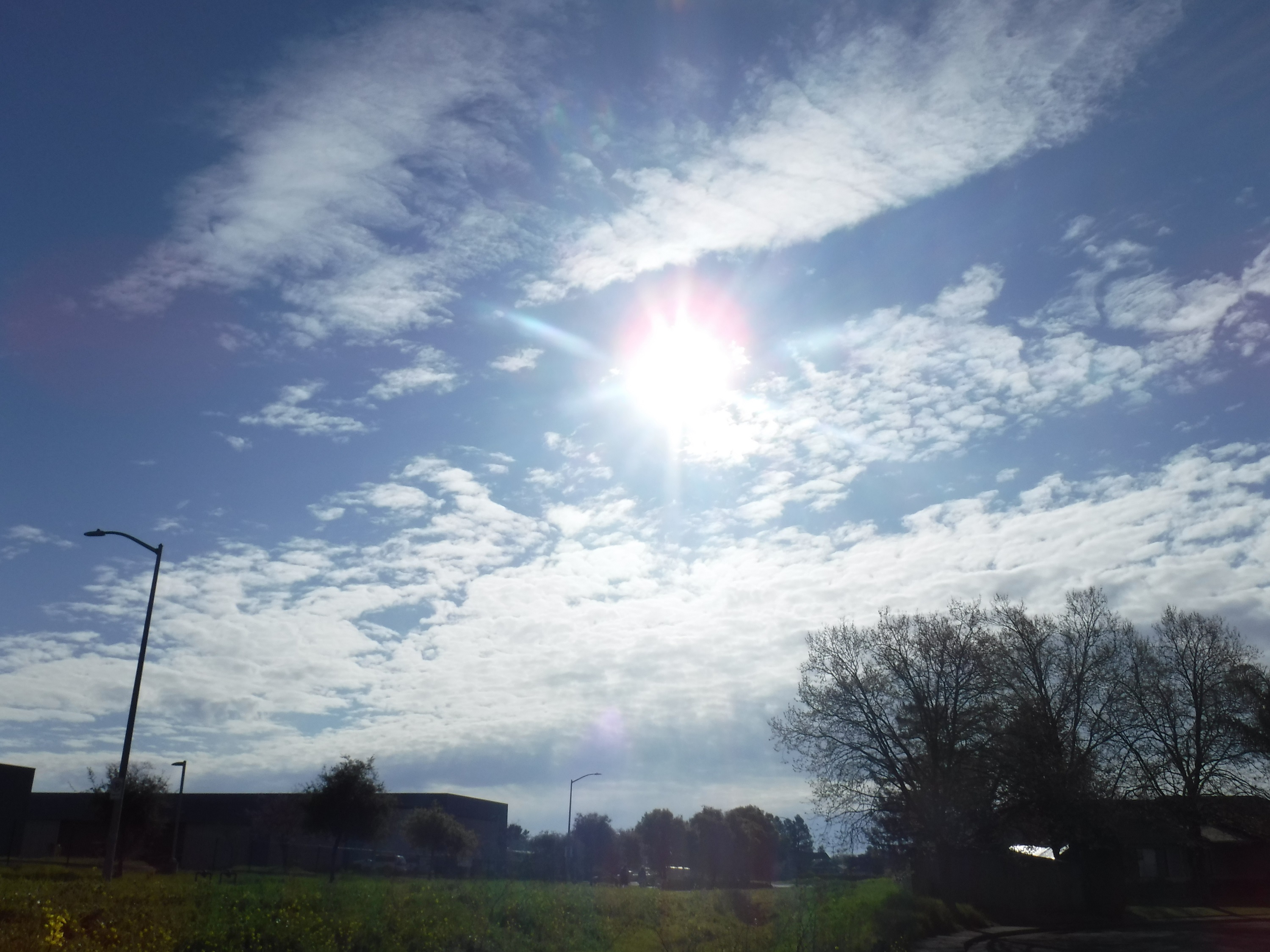 Photo taken by me 3-22-20