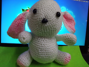 My bunny rabbit.