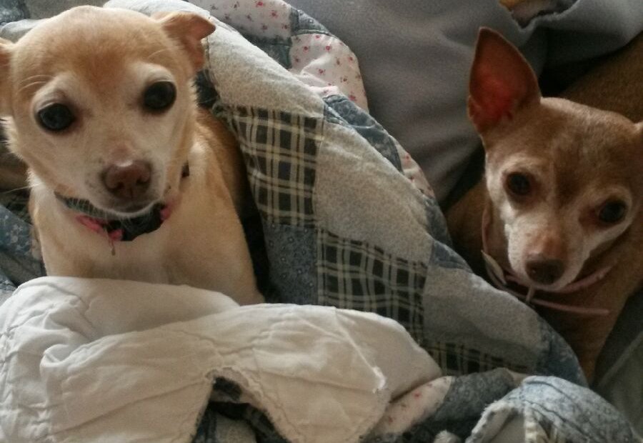 Sadie and Annabelle Sadie and Annabelle