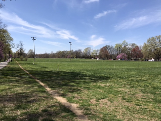 Seneca Park, not nearly as packed as it would be, because of social distancing. Photo taken by and the property of FourWalls. Seneca Park, not nearly as packed as it would be, because of social distancing. Photo taken by and the property of FourWalls.