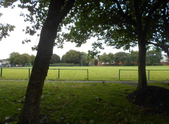 Photo taken by me - the village green outside my flat. Photo taken by me - the village green outside my flat.