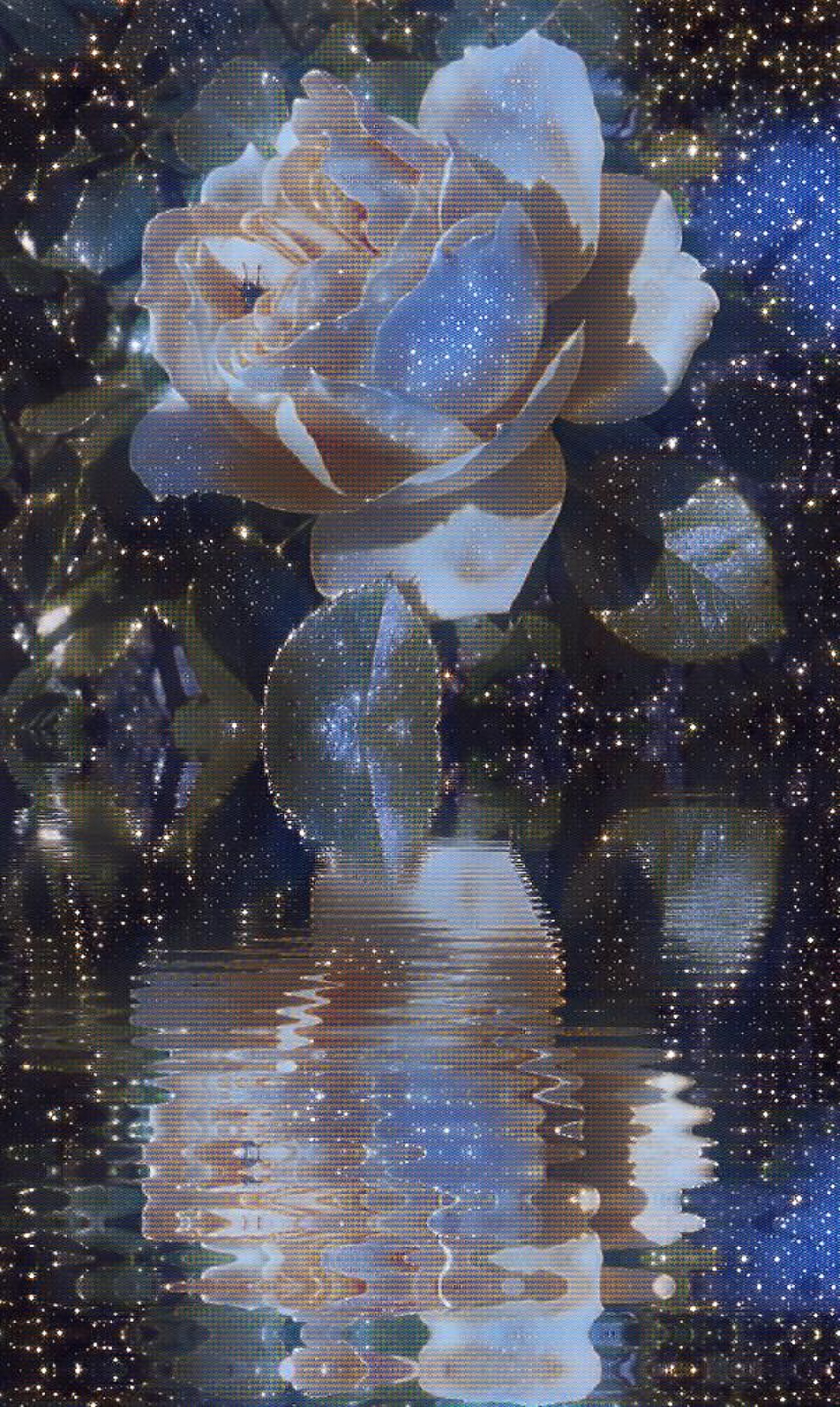 Photo taken by me with reflecting water and space effects on LunaPic.com Photo taken by me with reflecting water and space effects on LunaPic.com