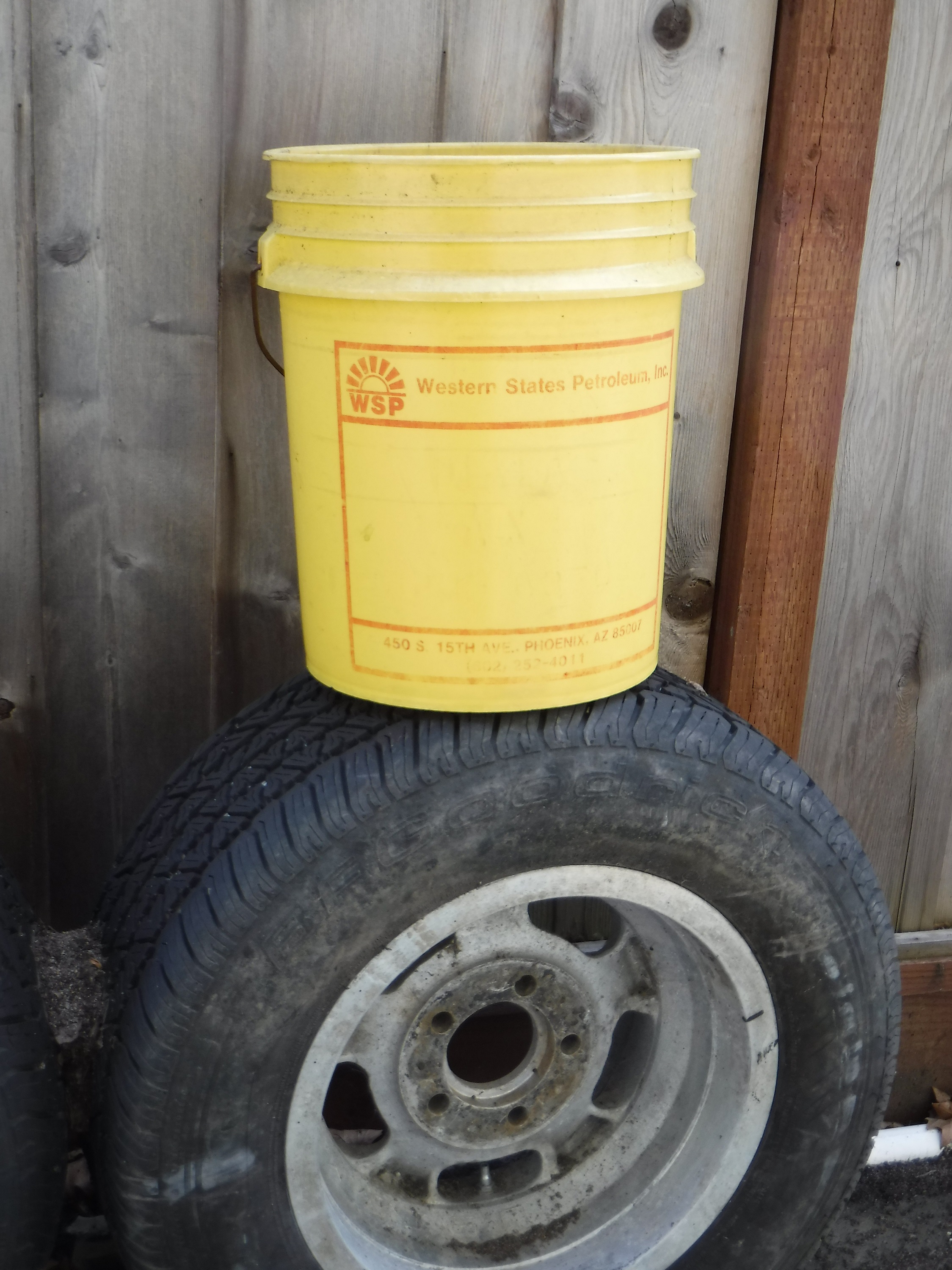 The bucket I use to pull weeds that I put at the side of the house 