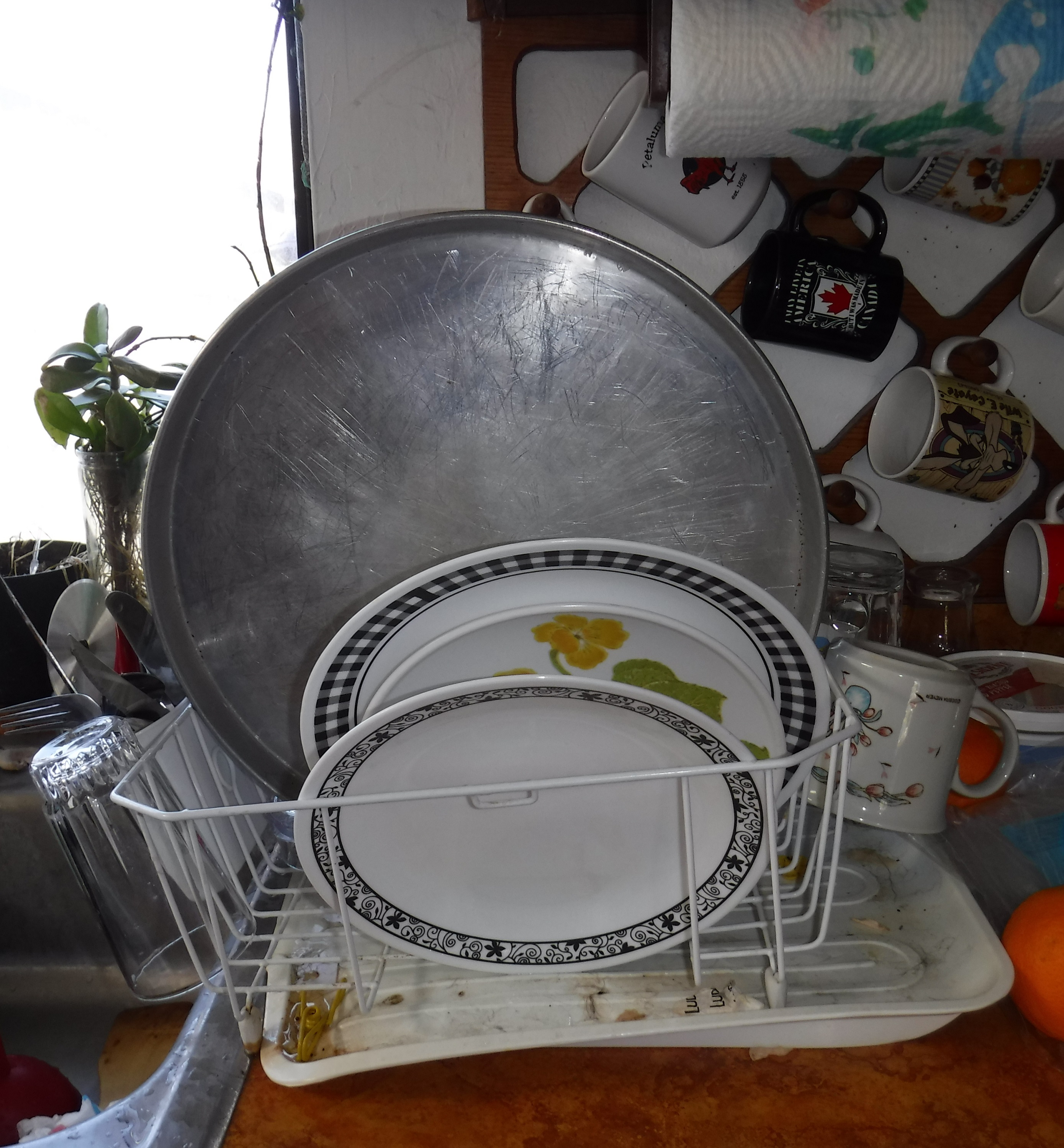 Photo I took of the dishes in the dish rack