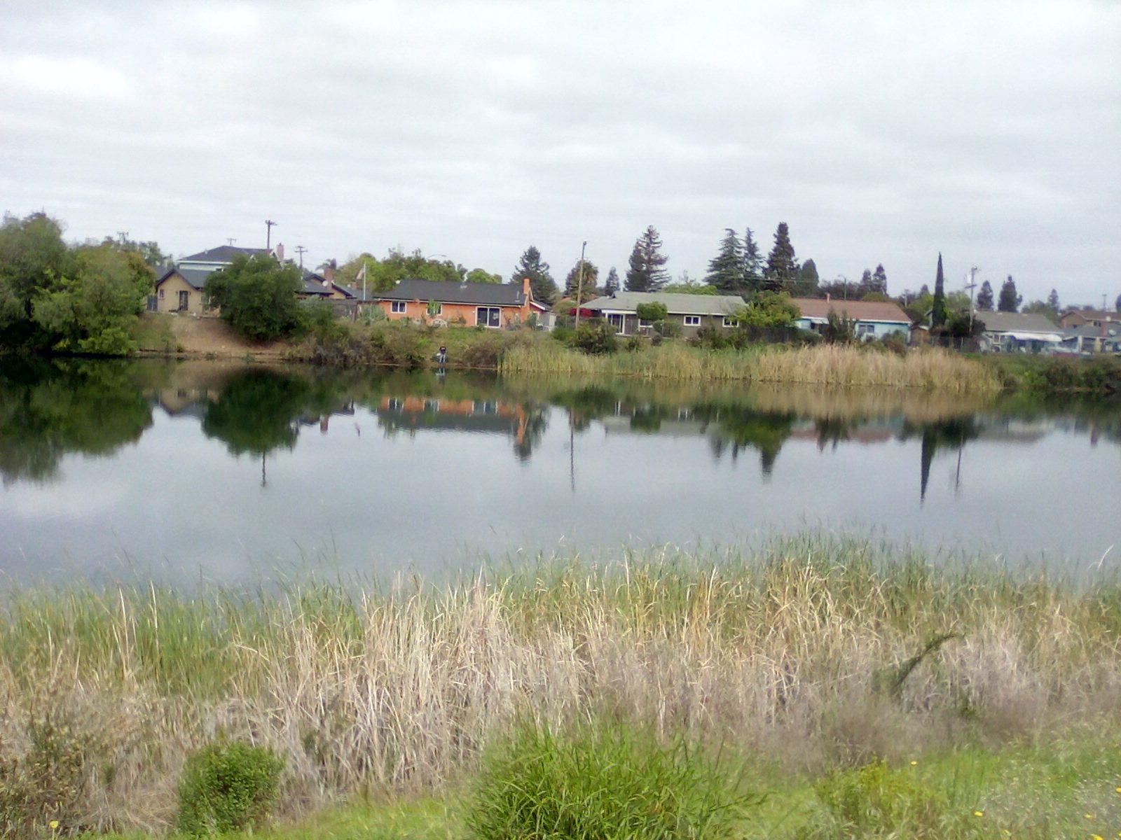 Guadalupe Creek Trai!, Water, scene, recreation, SanMose 