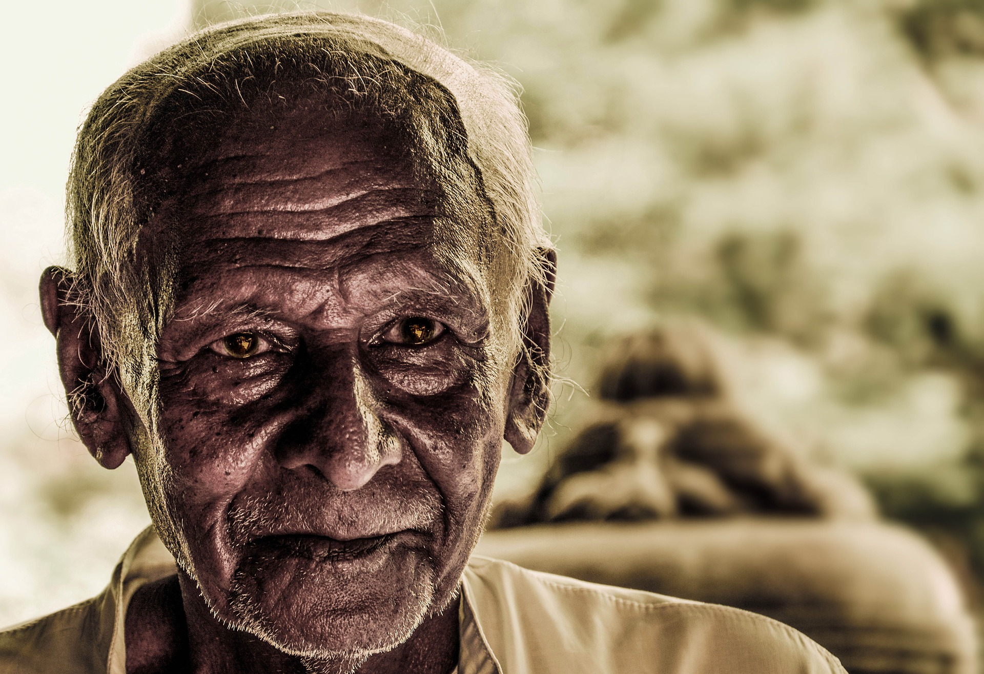 The old Zen master truly walked with a light in his eyes and with love in his heart The old Zen master truly walked with a light in his eyes and with love in his heart