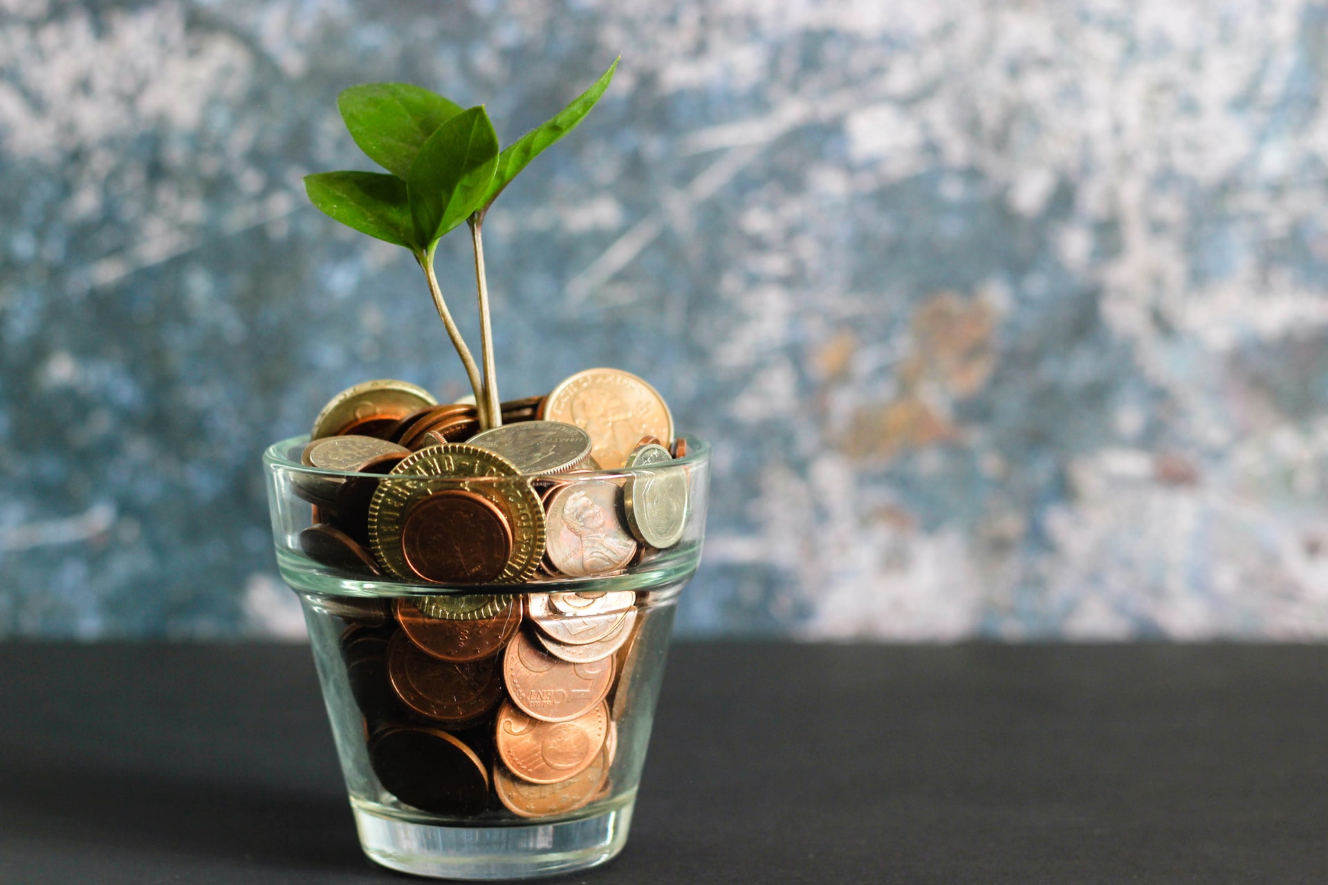 Photo by Unsplash.com Photo by Unsplash.com
