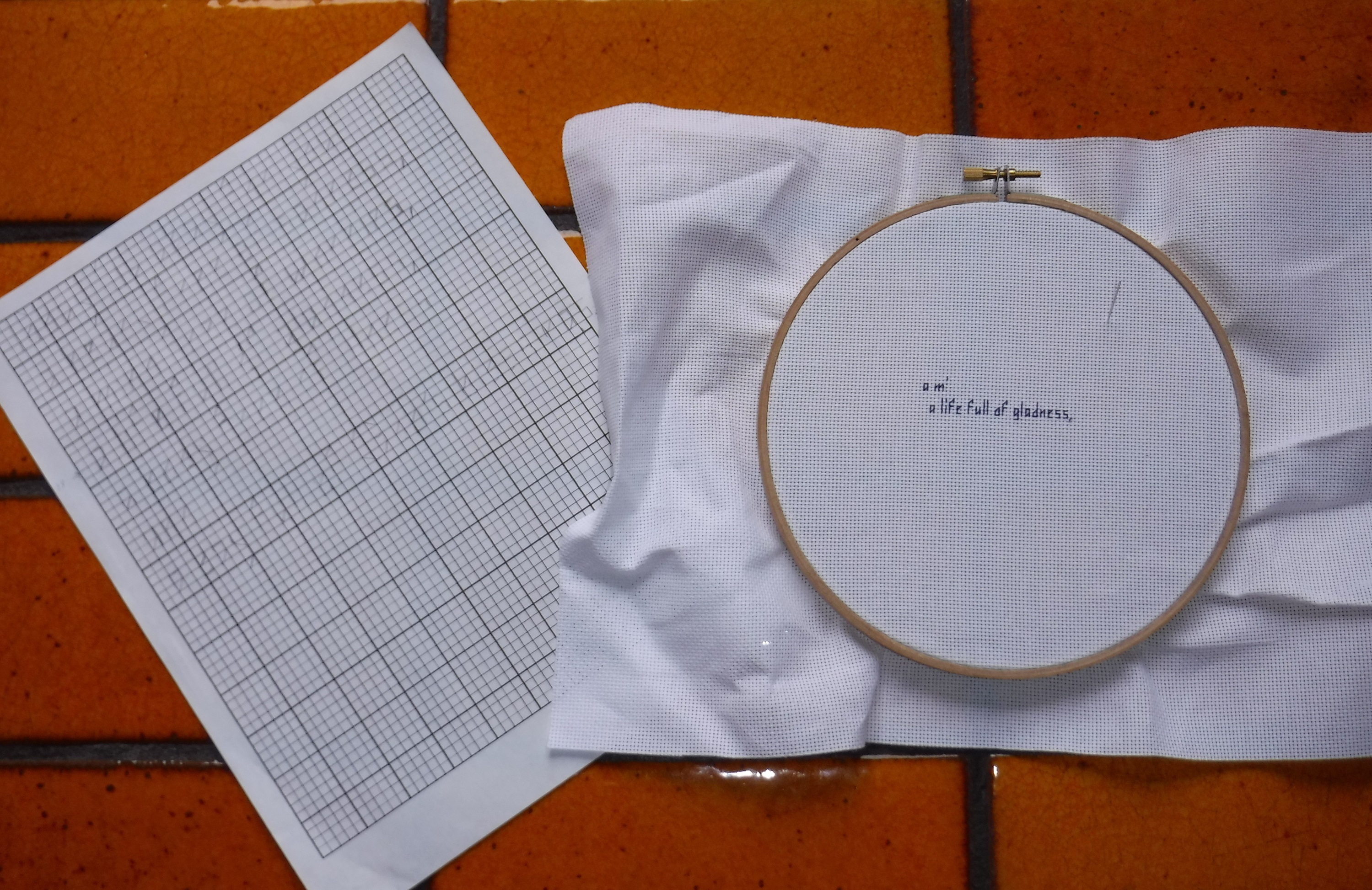Photo I took of the progress on my cross stitch and the pattern I made Photo I took of the progress on my cross stitch and the pattern I made