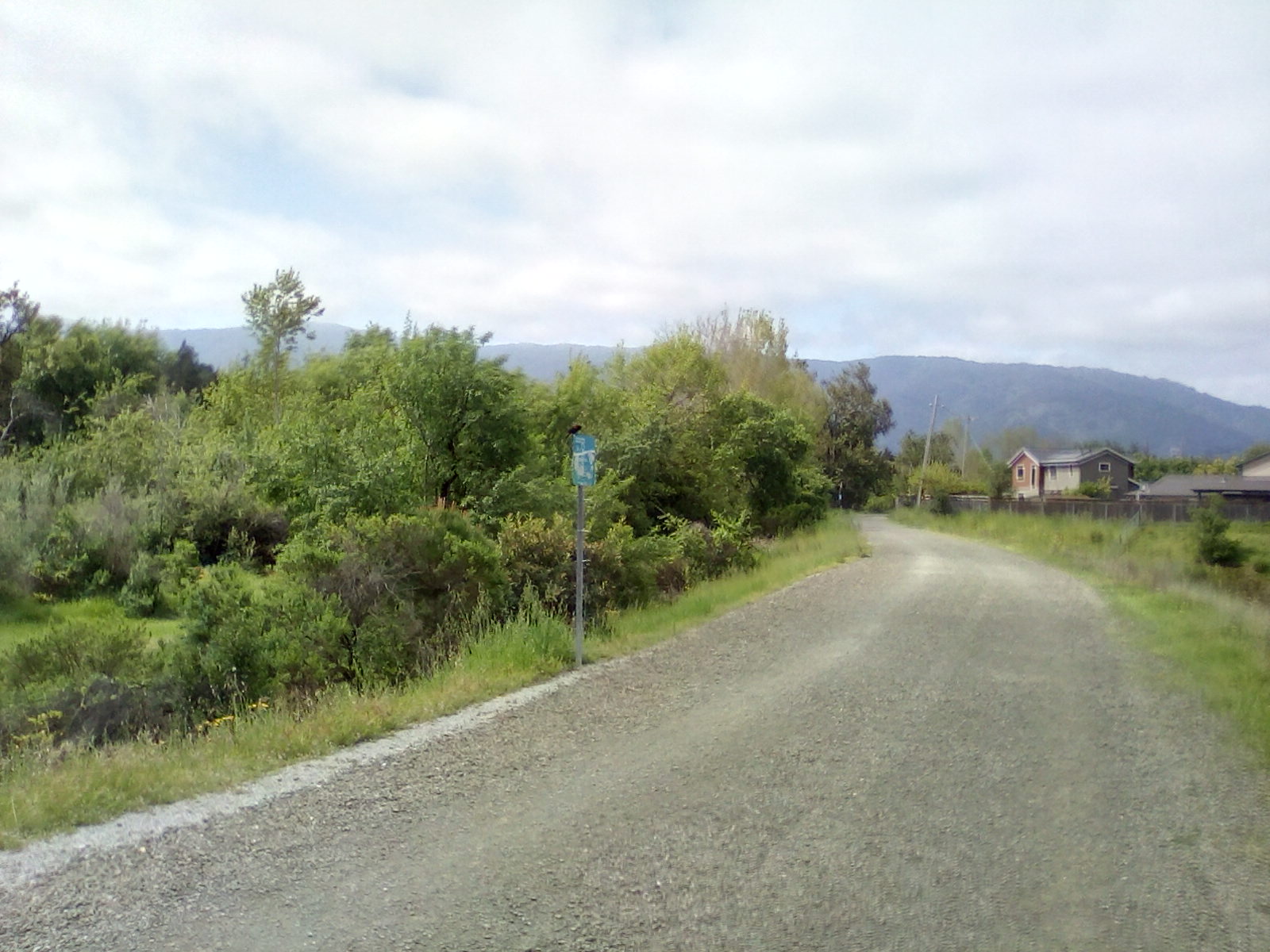 Hiking, the great outdoors, exervise, environment, foredt