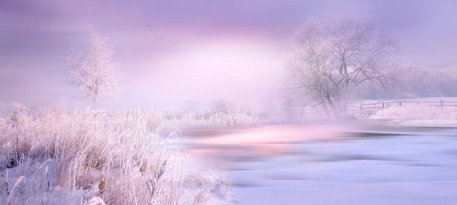 nature landscape