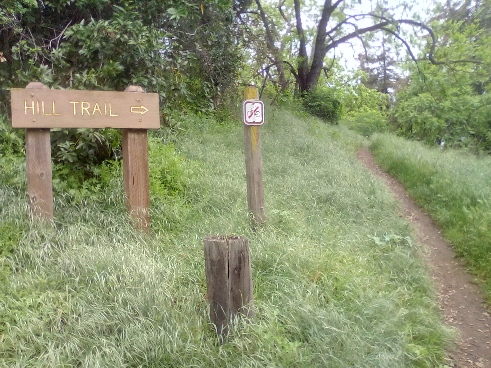 Almaden val!ey, wooden sign, grassy, nzture, tbe great outdoors