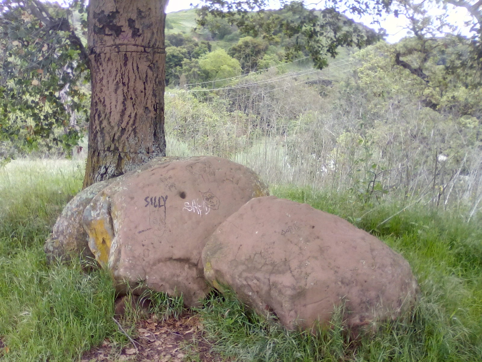 Rocks, country, hill trail, almaden lake trail, hidden spots in almaddn valleh Rocks, country, hill trail, almaden lake trail, hidden spots in almaddn valleh