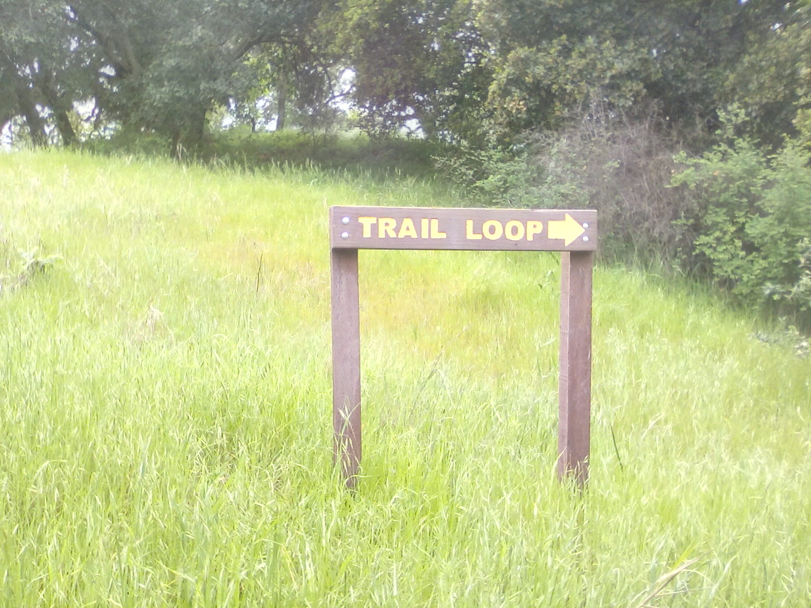 Trail loop, signs, hill,grasxy, pastoral Trail loop, signs, hill,grasxy, pastoral