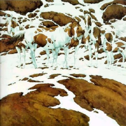horses in the ice - horses in the ice