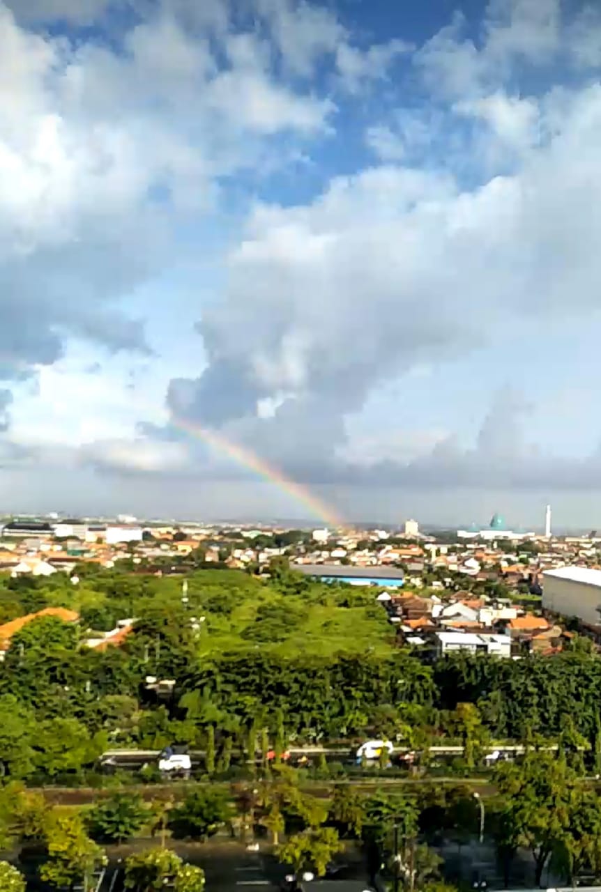 Rainbow Rainbow