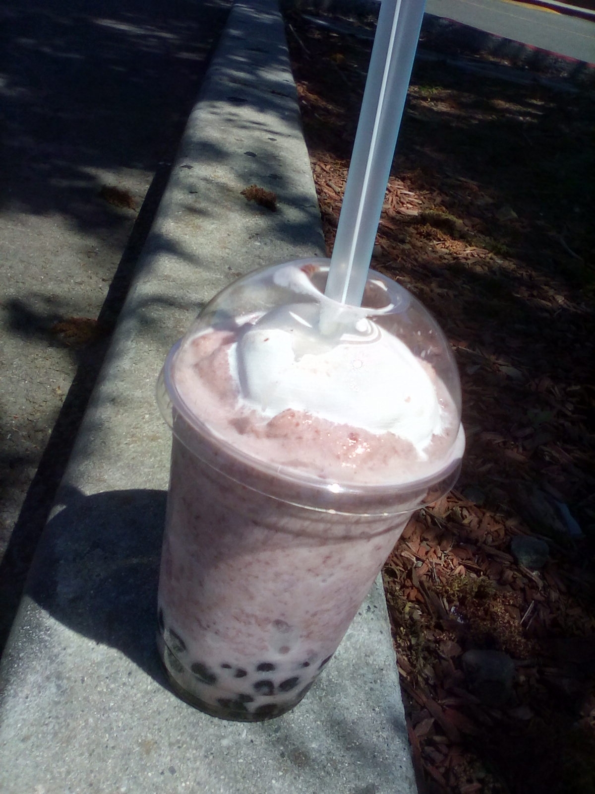 House of pho, red bean smoothie, vietnamese food, smootbies, red bean