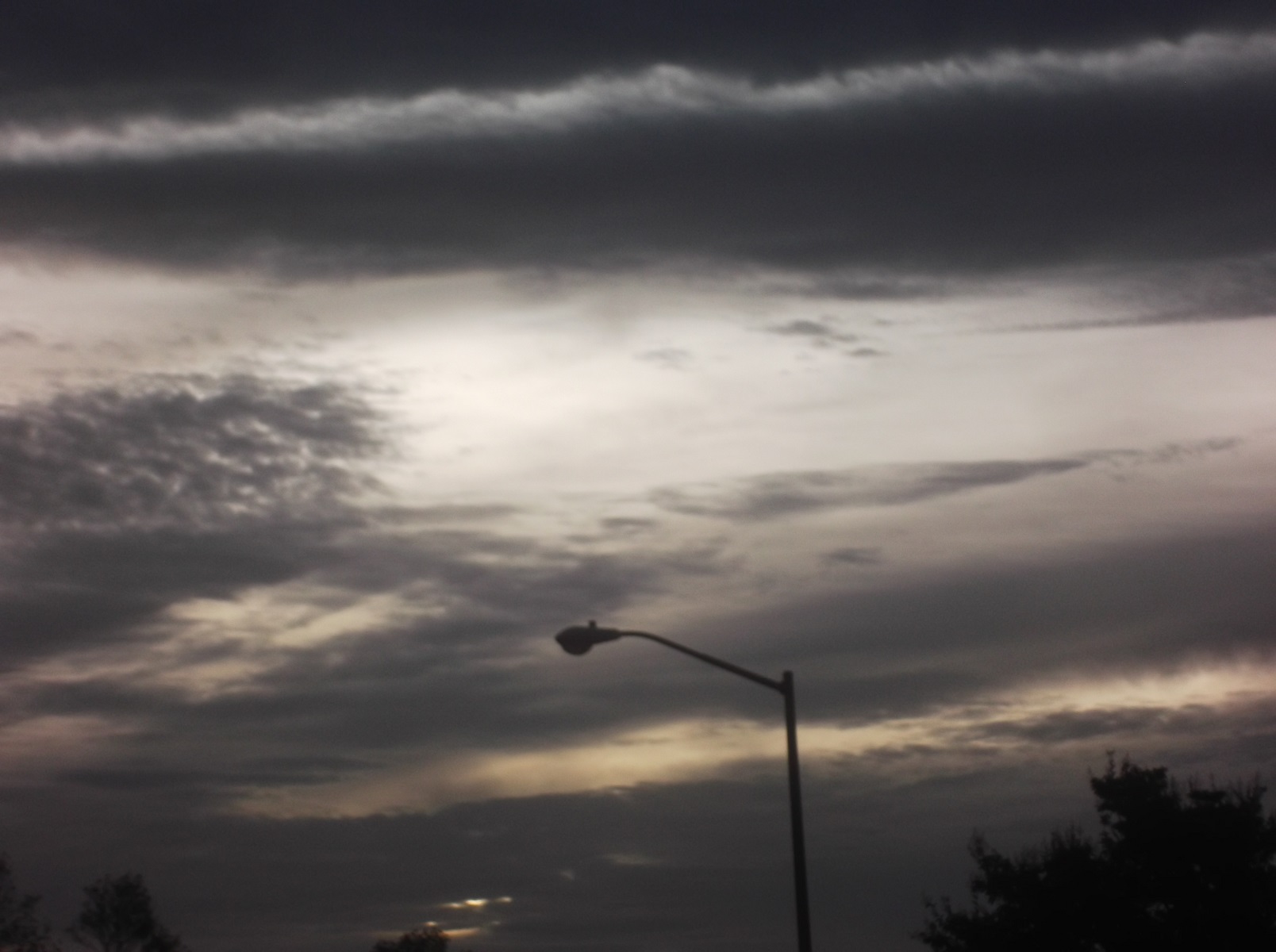 Photo taken by me 11-7-16 Photo taken by me 11-7-16