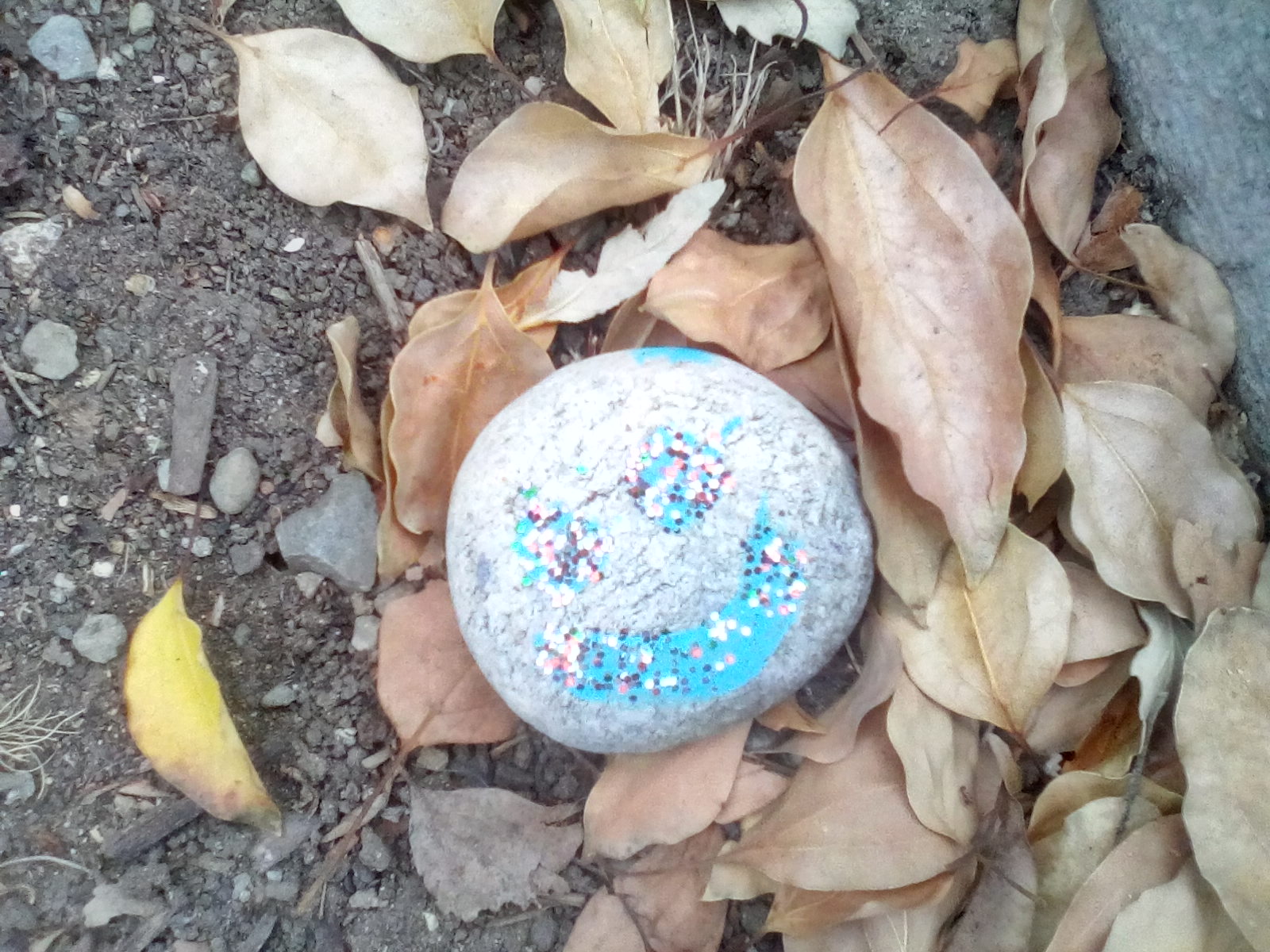 Glitter, happy face, painted rock, shelter n place, folk art Glitter, happy face, painted rock, shelter n place, folk art