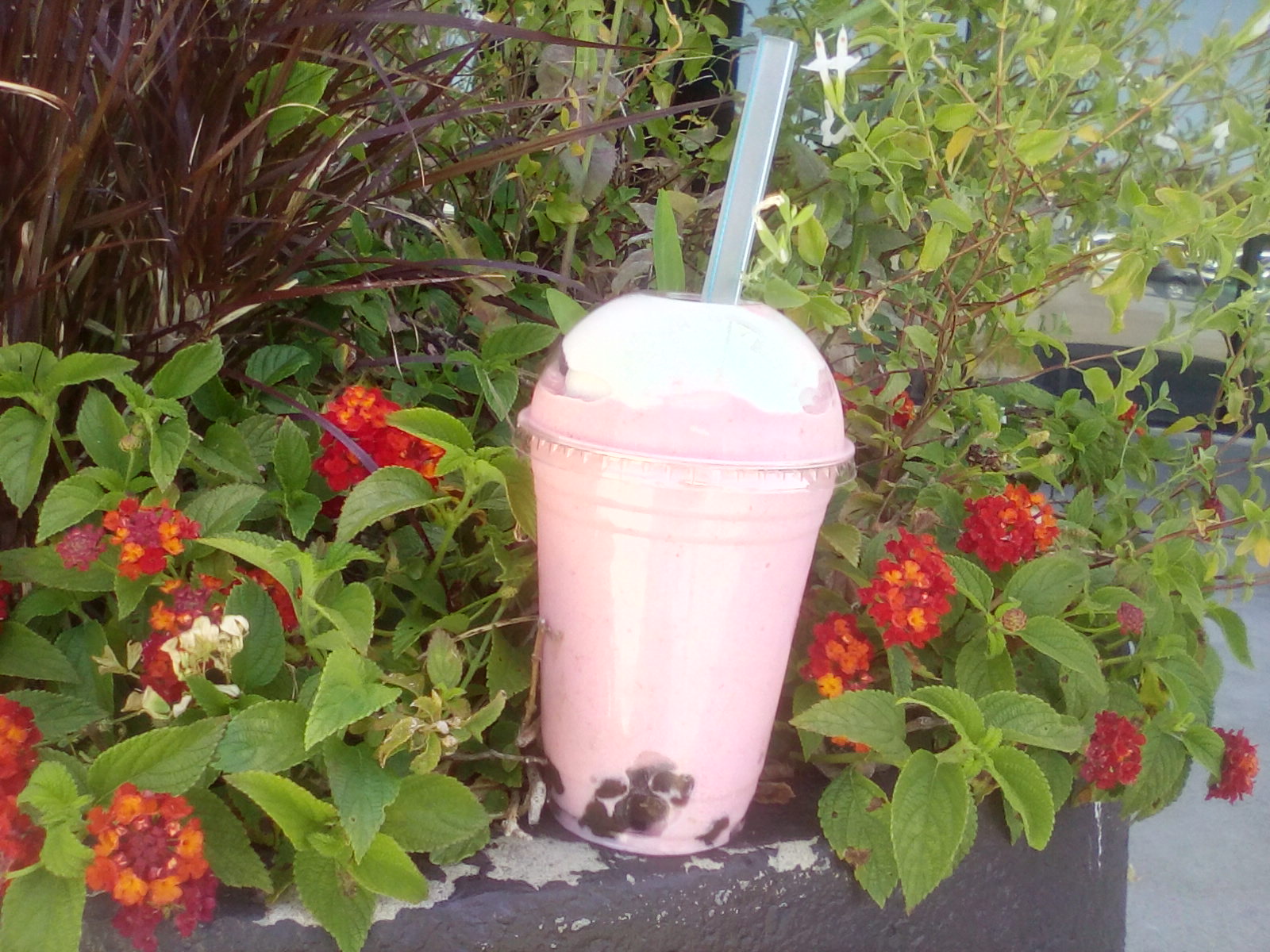 Strawberry smoothie, sinh to dau, vietnamese beverages, fruit, syraw Strawberry smoothie, sinh to dau, vietnamese beverages, fruit, syraw