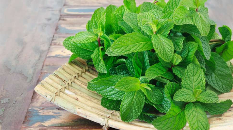 mint mint