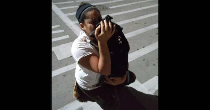 Deb Melser reunited with her lost dog after six years Deb Melser reunited with her lost dog after six years