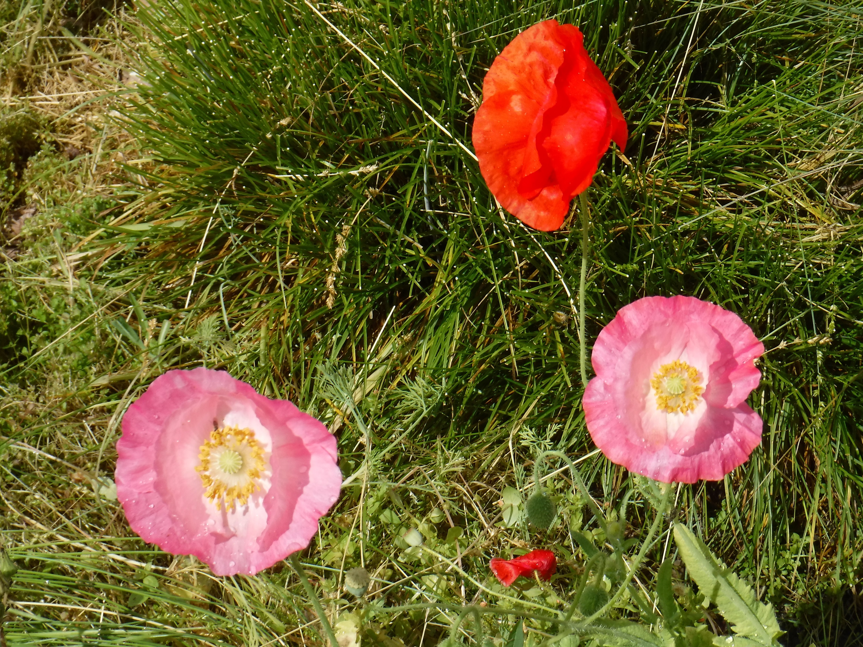 Photo taken by me