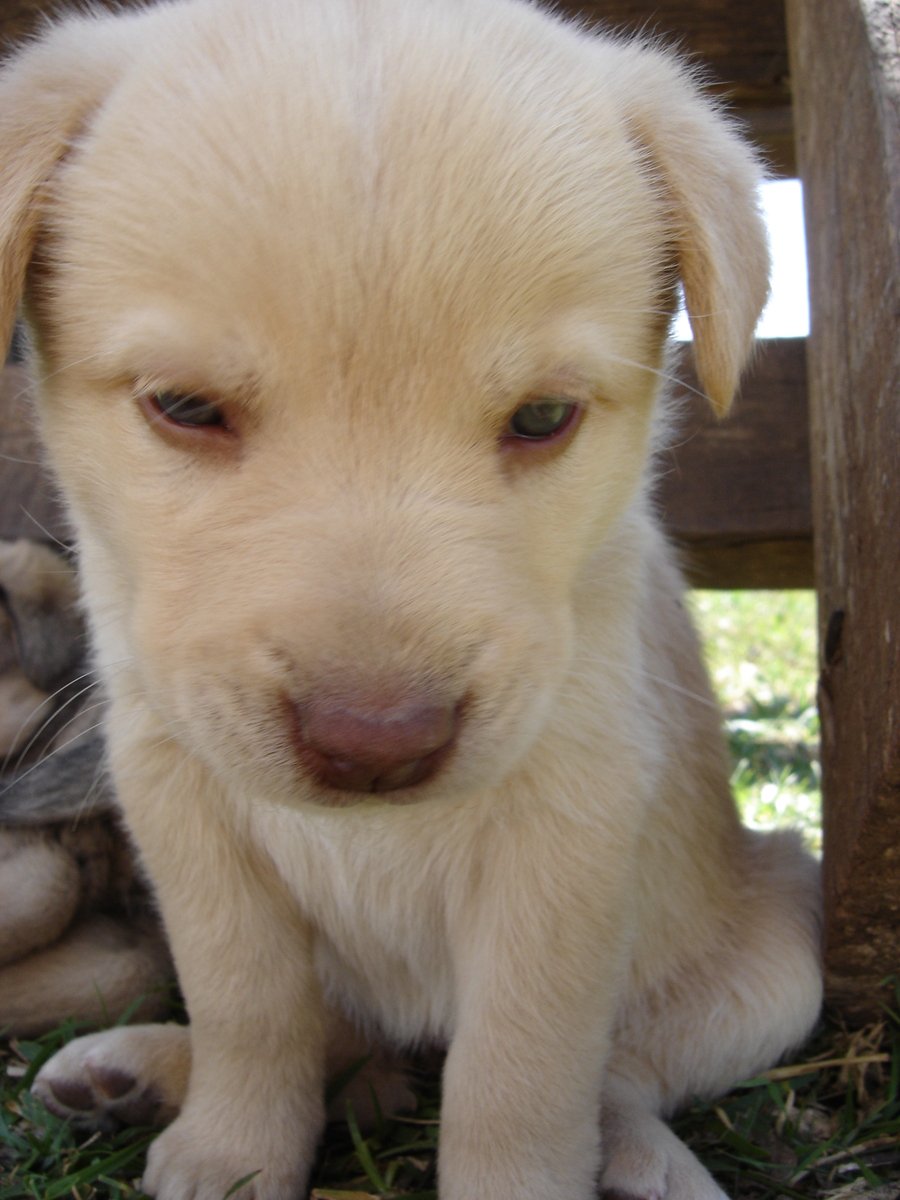 Sad eyes always still contain love in them Sad eyes always still contain love in them