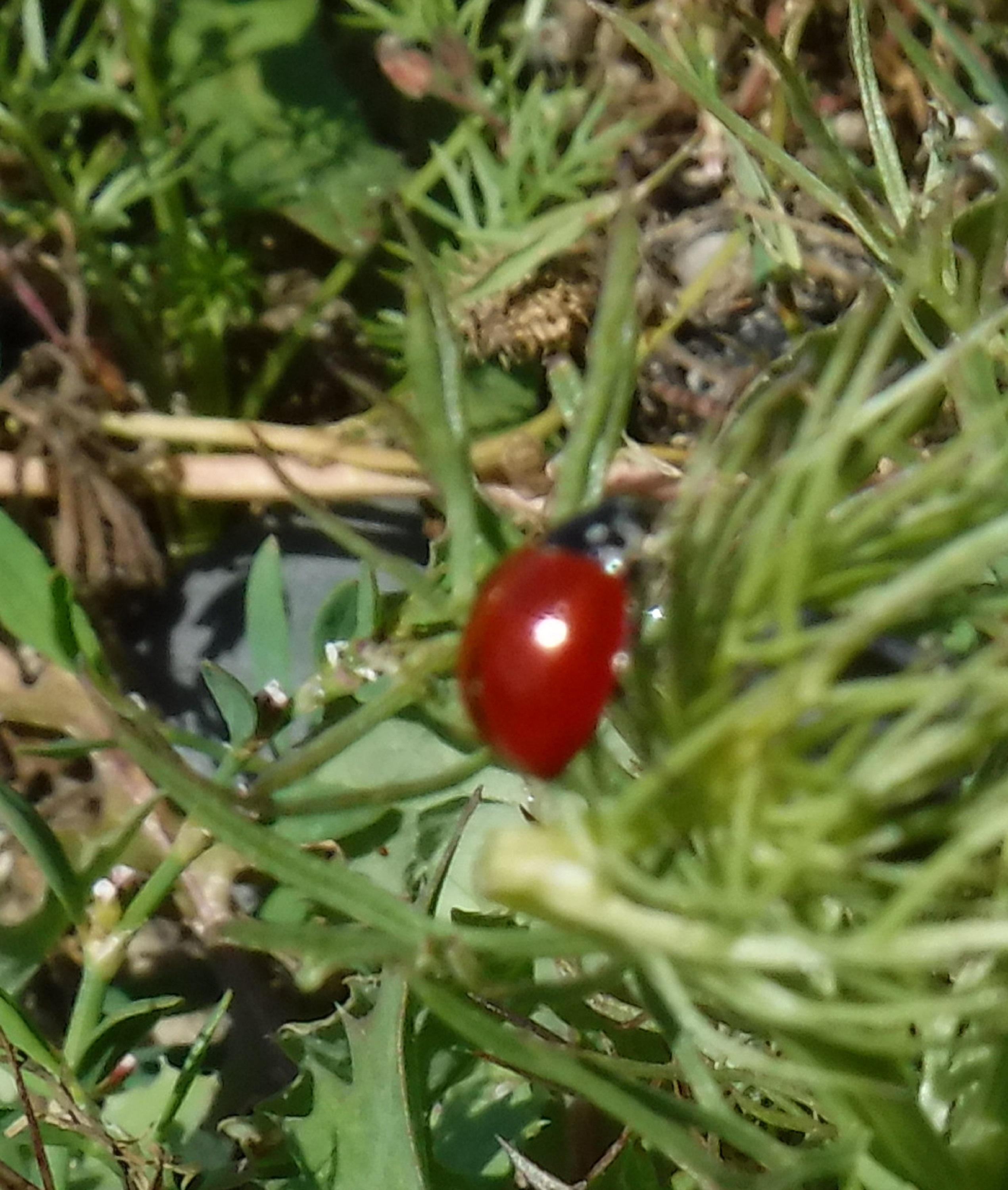 Photo taken by me out front (sorry for the blur) Photo taken by me out front (sorry for the blur)