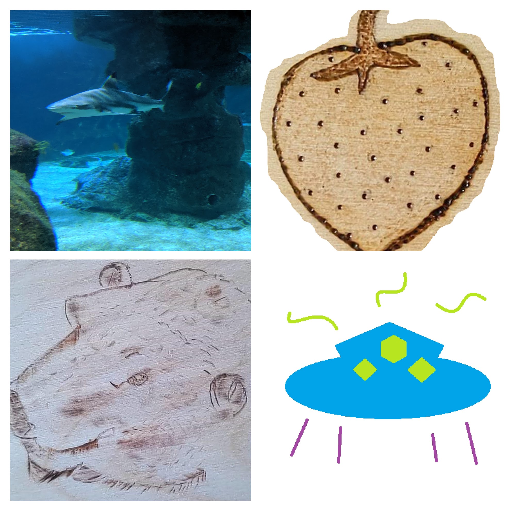 polar bear, strawberry, art, woodwork, pyrography, digital art, spaceship, reef shark