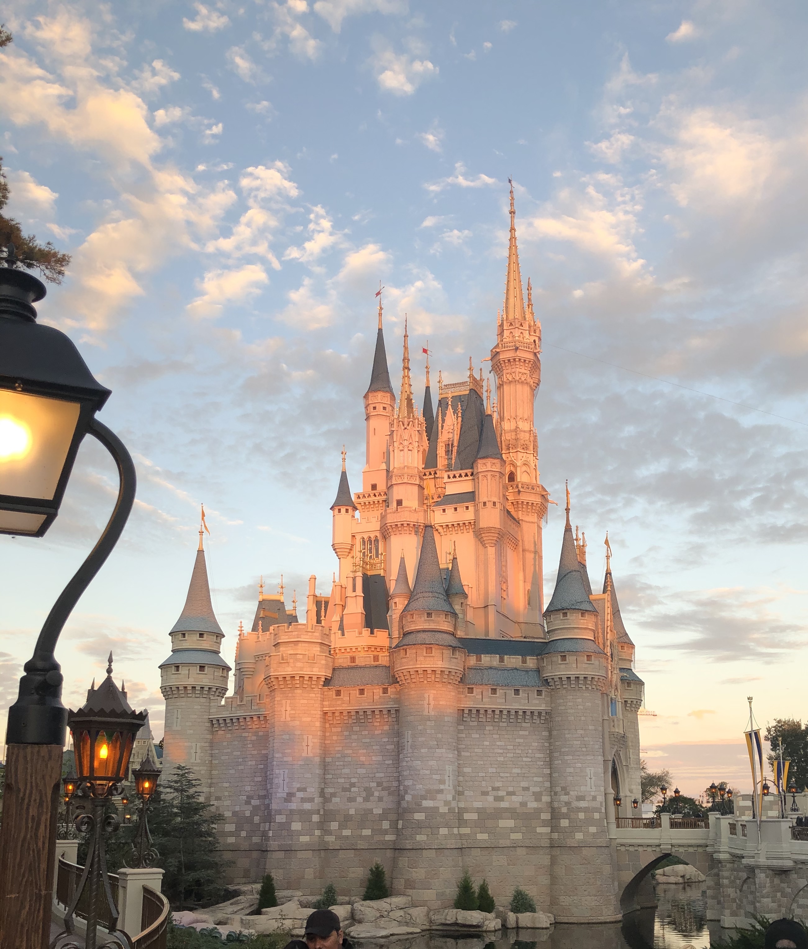 Disney's Magic Kingdom Theme Park Re-Opens July 11 / myLot