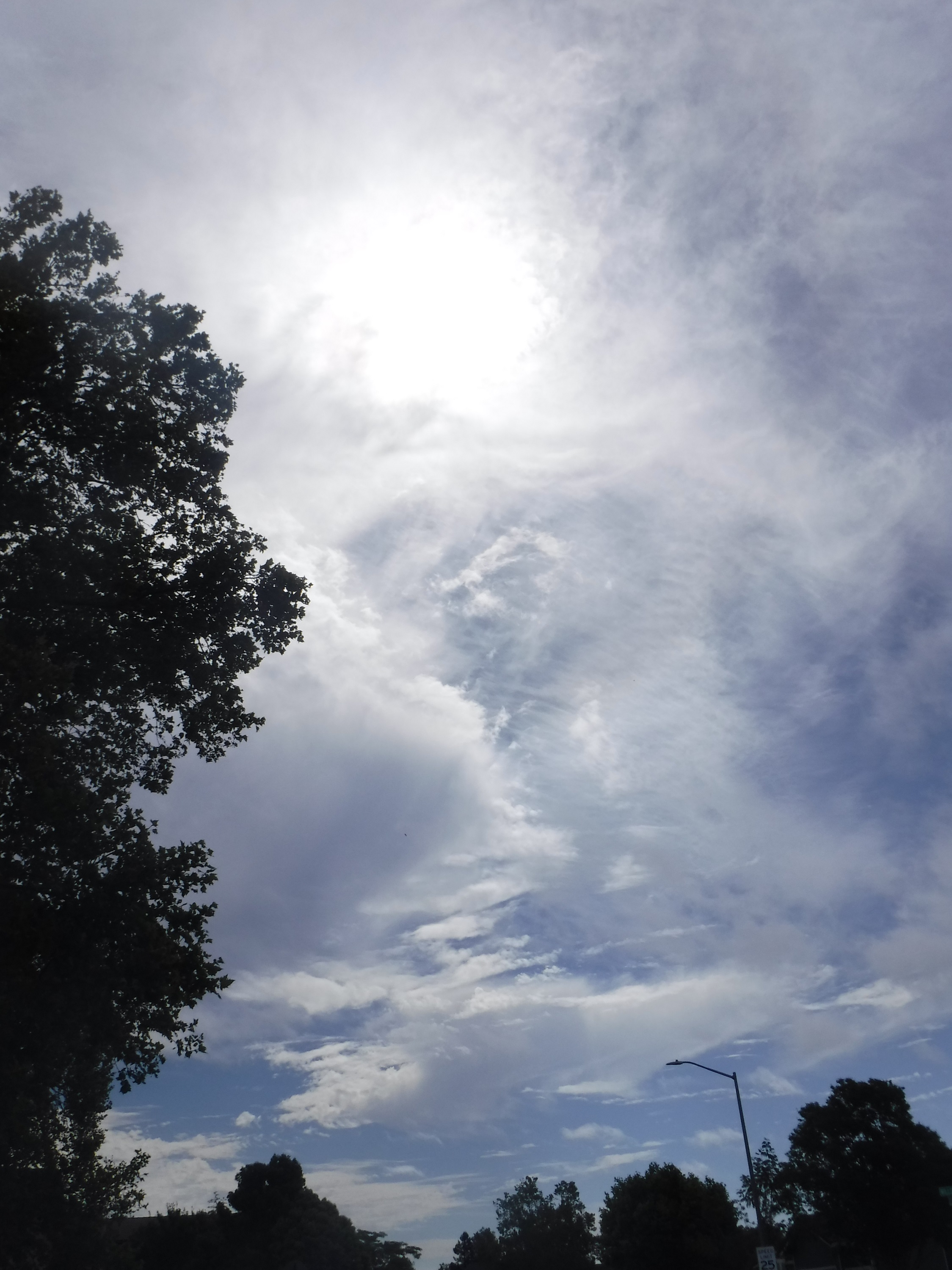 Photo taken by me 5-29-20 Photo taken by me 5-29-20