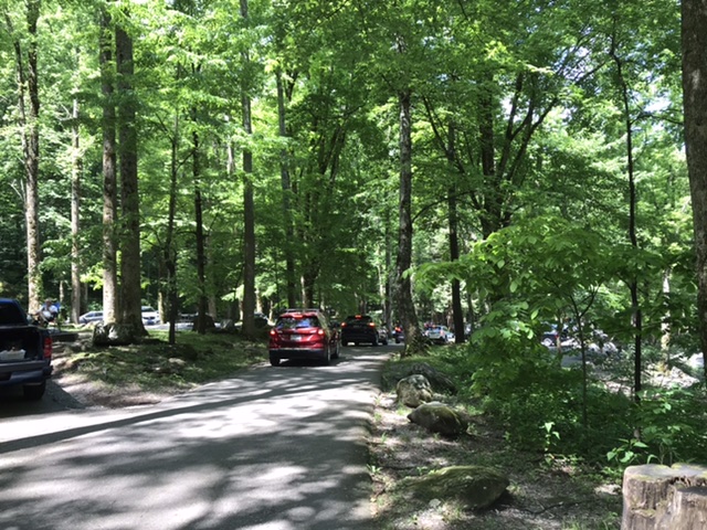 Lots of cars on the small one-way road in the Chimneys Picnic area in the Great Smoky Mountains National Park. Photo taken by and the property of FourWalls. Lots of cars on the small one-way road in the Chimneys Picnic area in the Great Smoky Mountains National Park. Photo taken by and the property of FourWalls.