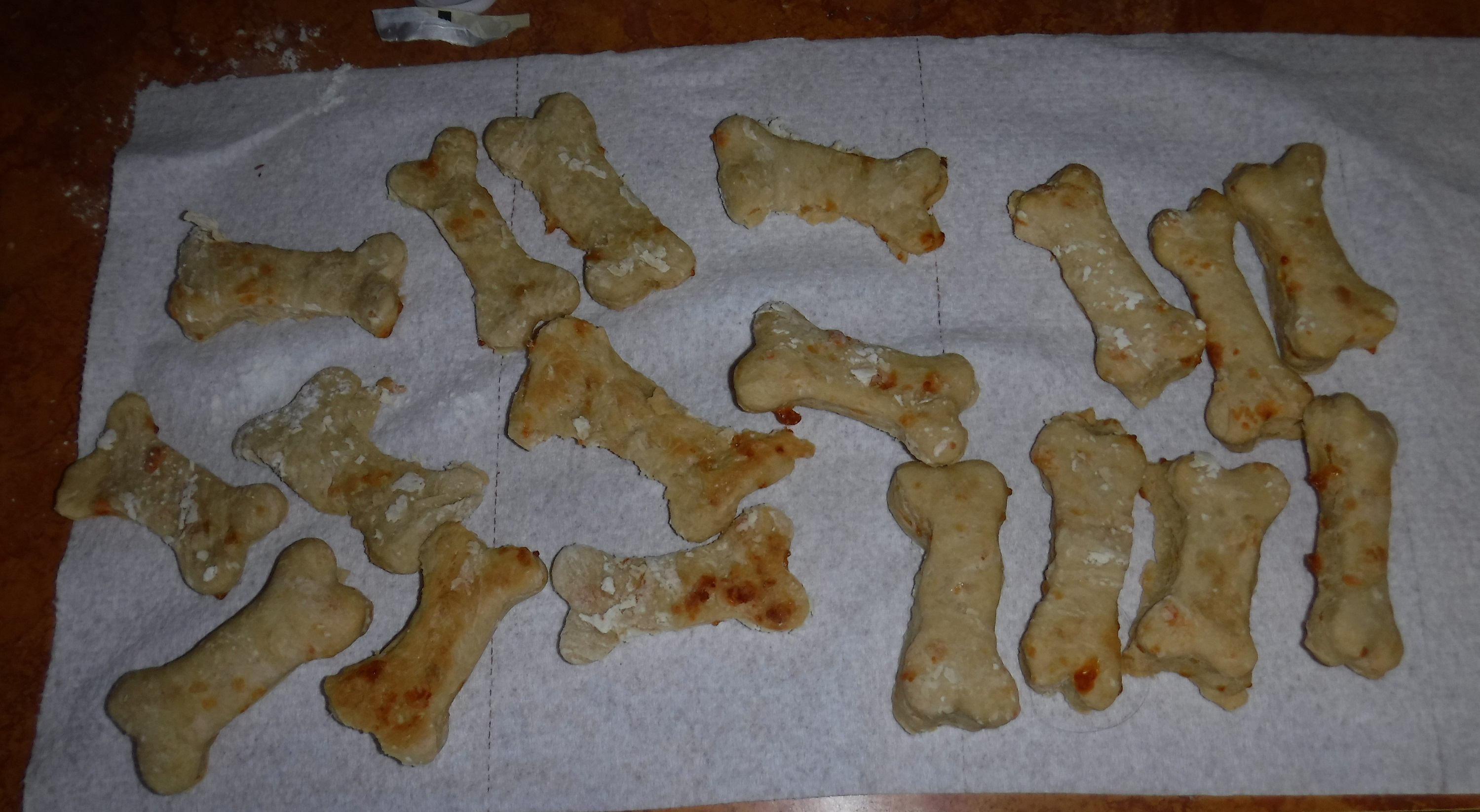 Photo I took of the first batch of dog treats Photo I took of the first batch of dog treats