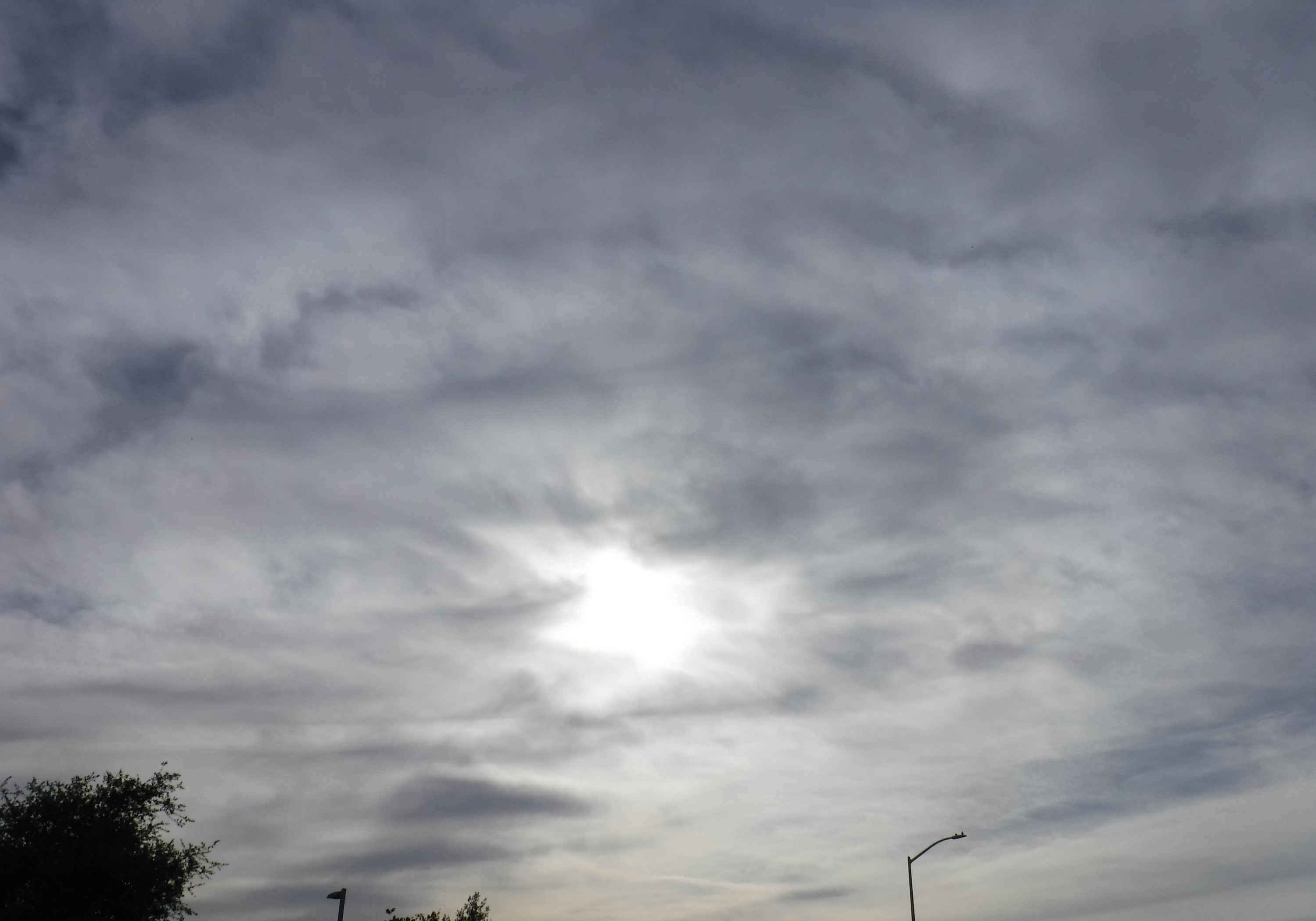 Photo taken by me 6-15-20 Photo taken by me 6-15-20