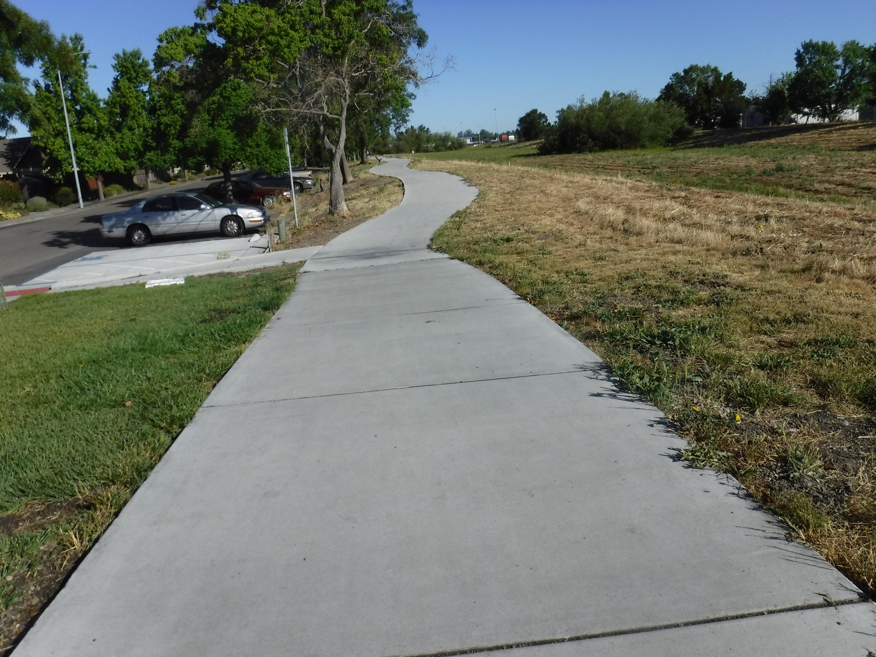 Photo I took of the path on the way back home from the park Photo I took of the path on the way back home from the park