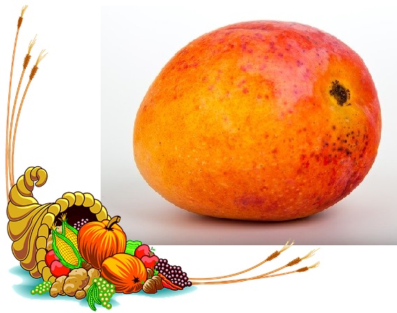 mango and cornucopia