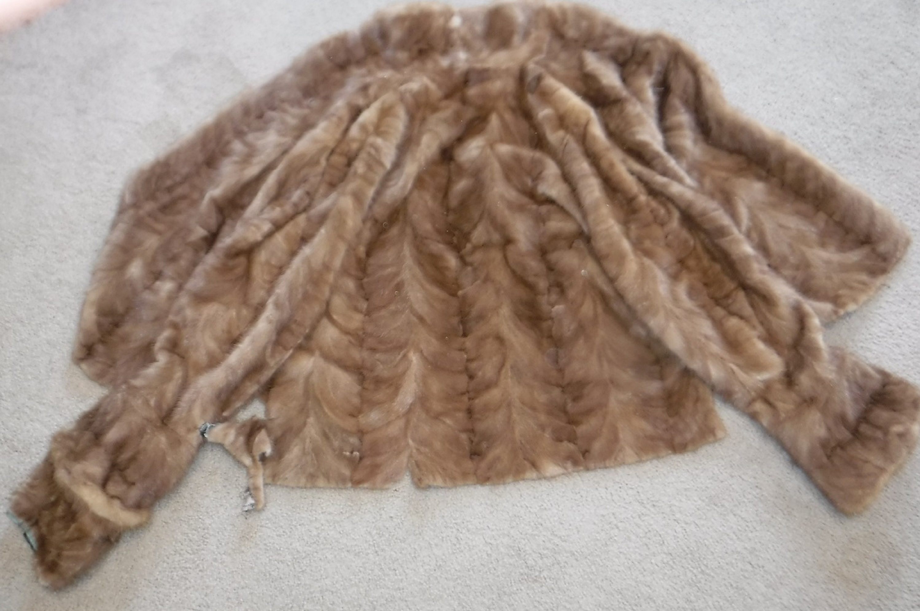Photo I took of the vintage fur coat. Photo I took of the vintage fur coat.