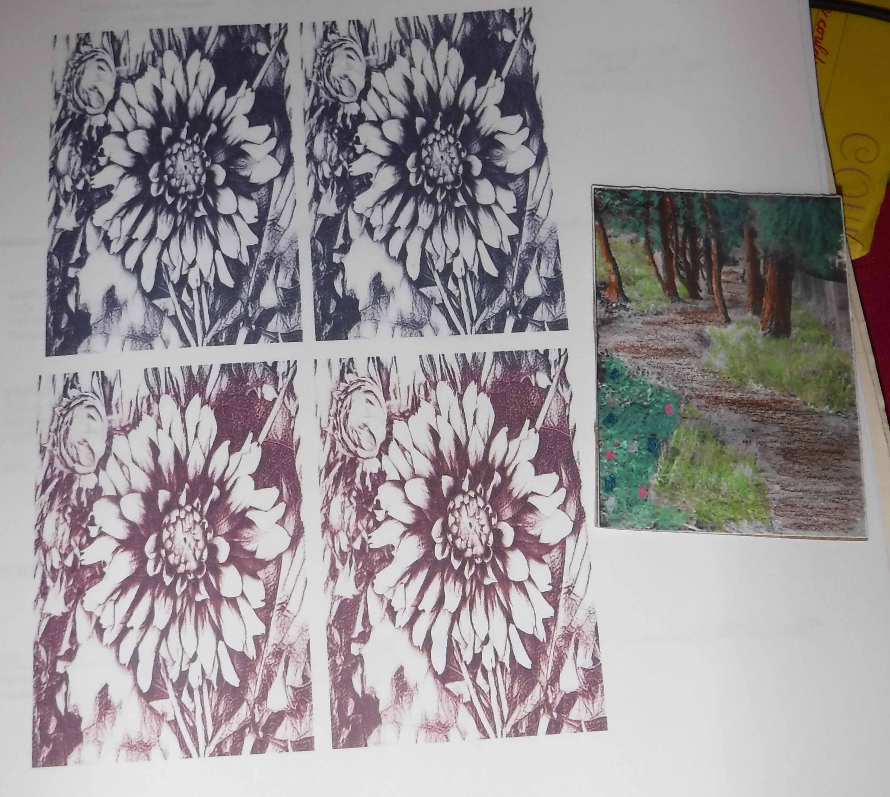 Photo I took of a Dahlia pattern for ATC's I made from a photo I took, and Photo I took of a Dahlia pattern for ATC's I made from a photo I took, and