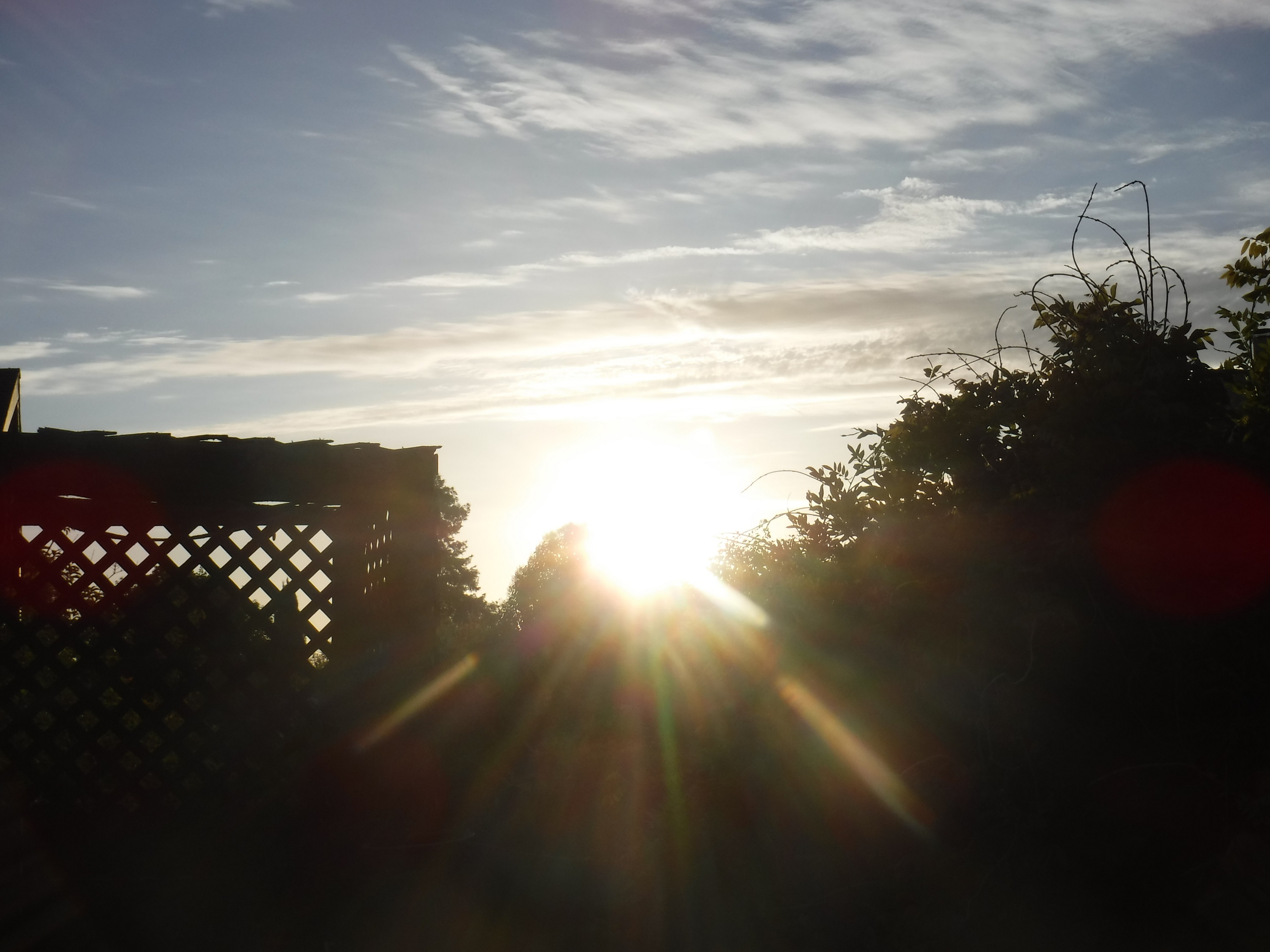 Photo taken by me 6-24-20 Photo taken by me 6-24-20