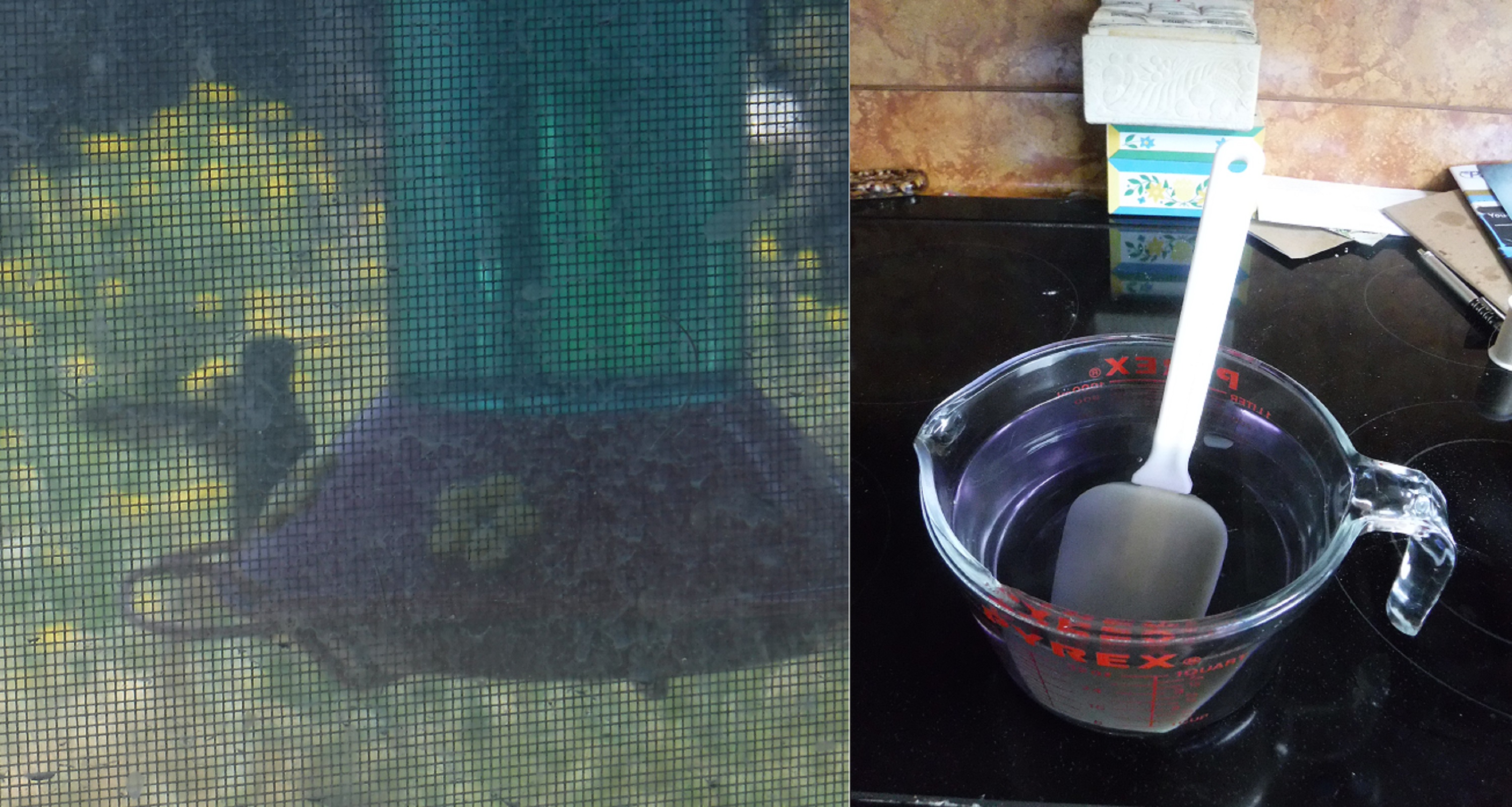 Photos I took today of hummingbird at the feeder and food I made for the other feeder