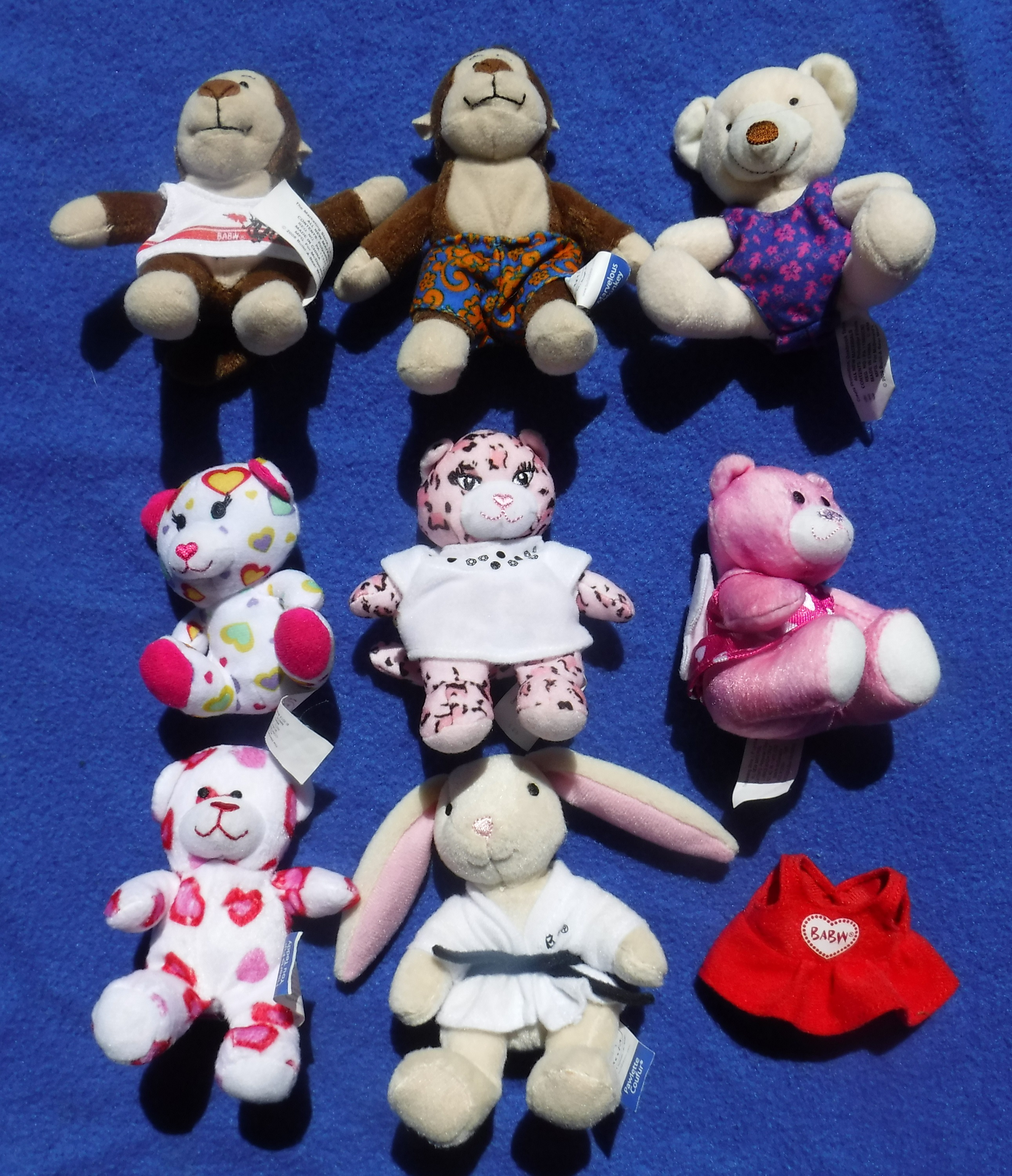 Photo taken by me of mini BABW animals to go on LetGo. Photo taken by me of mini BABW animals to go on LetGo.