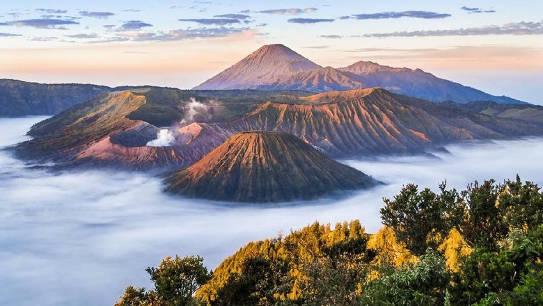 Bromo