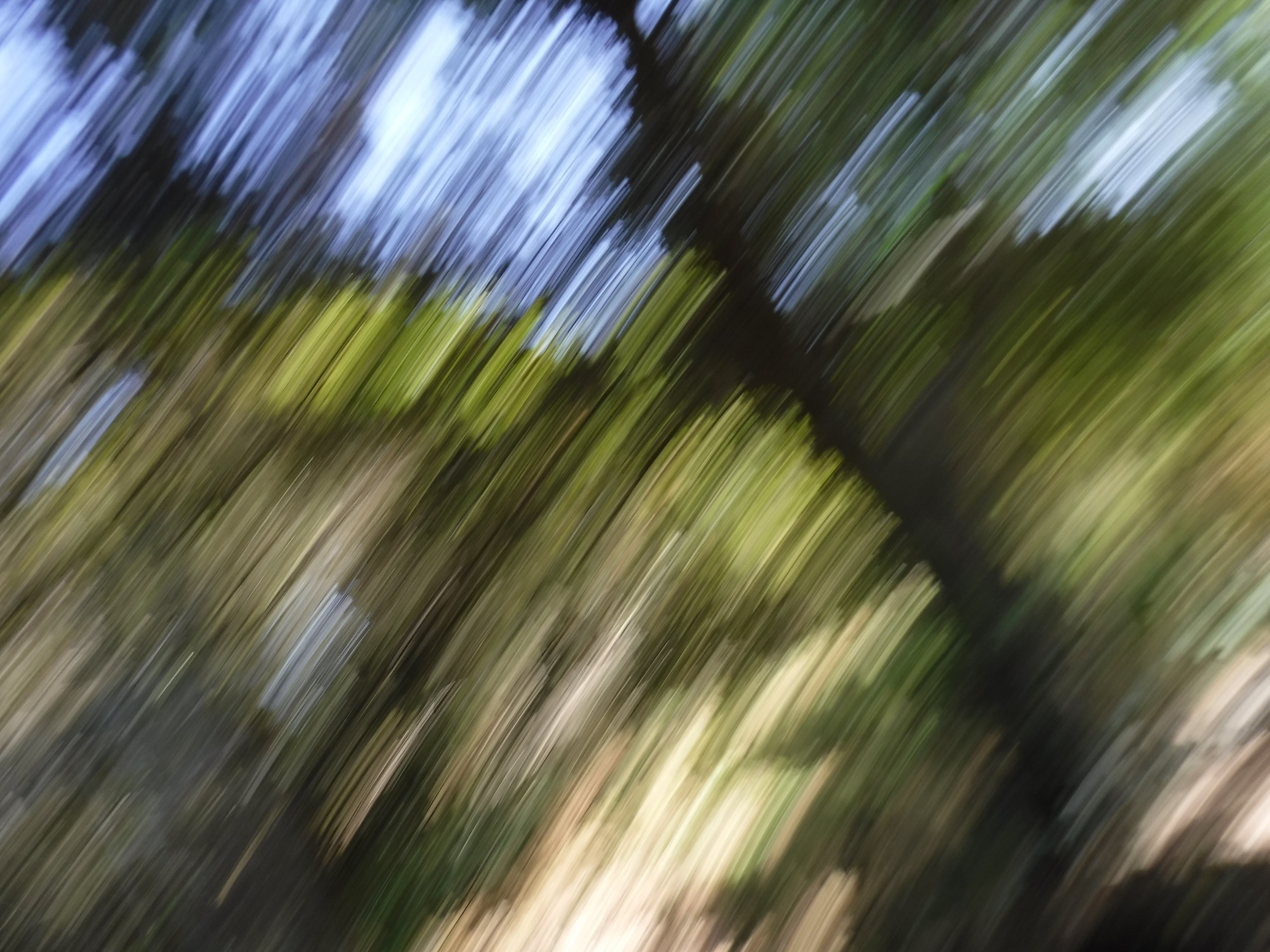 Only photo I got to take on my walk this morning. Sorry about the blur Only photo I got to take on my walk this morning. Sorry about the blur