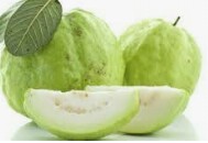 american guava american guava