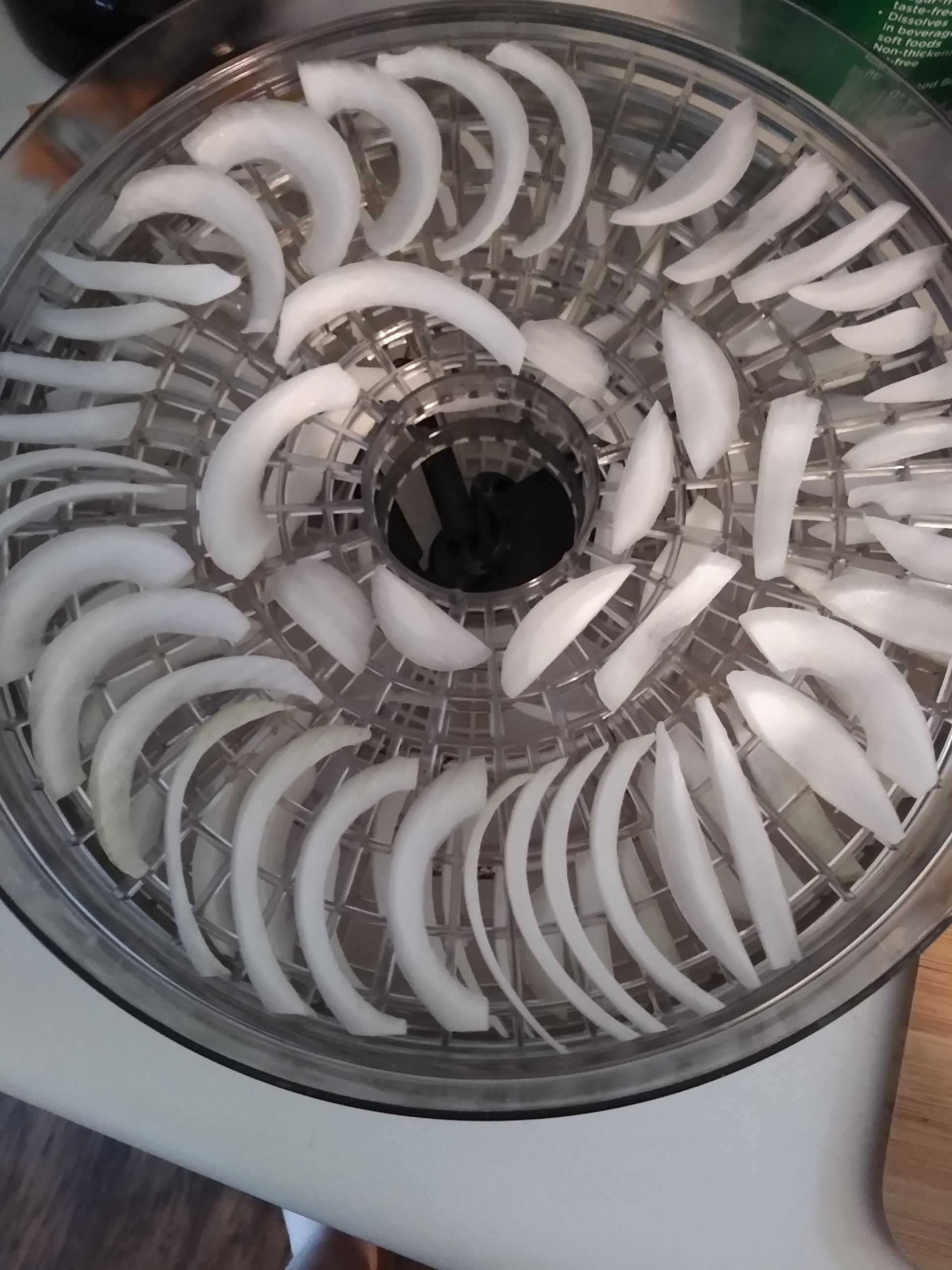 Drying Onions. Photo is mine.